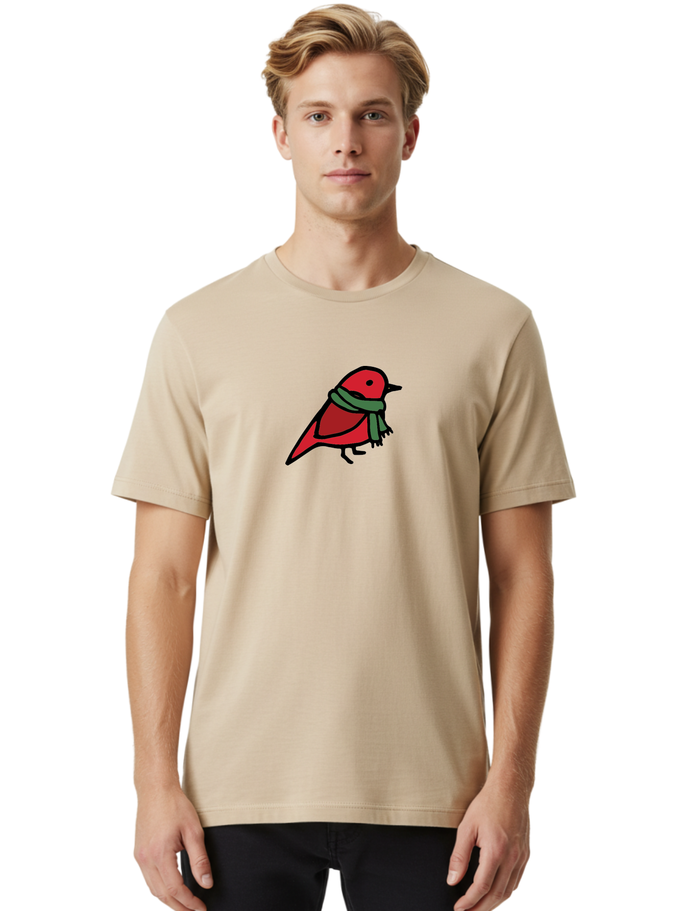Red-Bird-With-Grey-Scarf Men'S Graphic Tee, 100% Cotton, Comfortable Casual Summer Wear, Machine Washable, Red Bird, Cartoon Style, Green Scarf, Black Outlines, Winter Theme, Festive, Charming, Simple Design, Playful, Cute Aab064 12