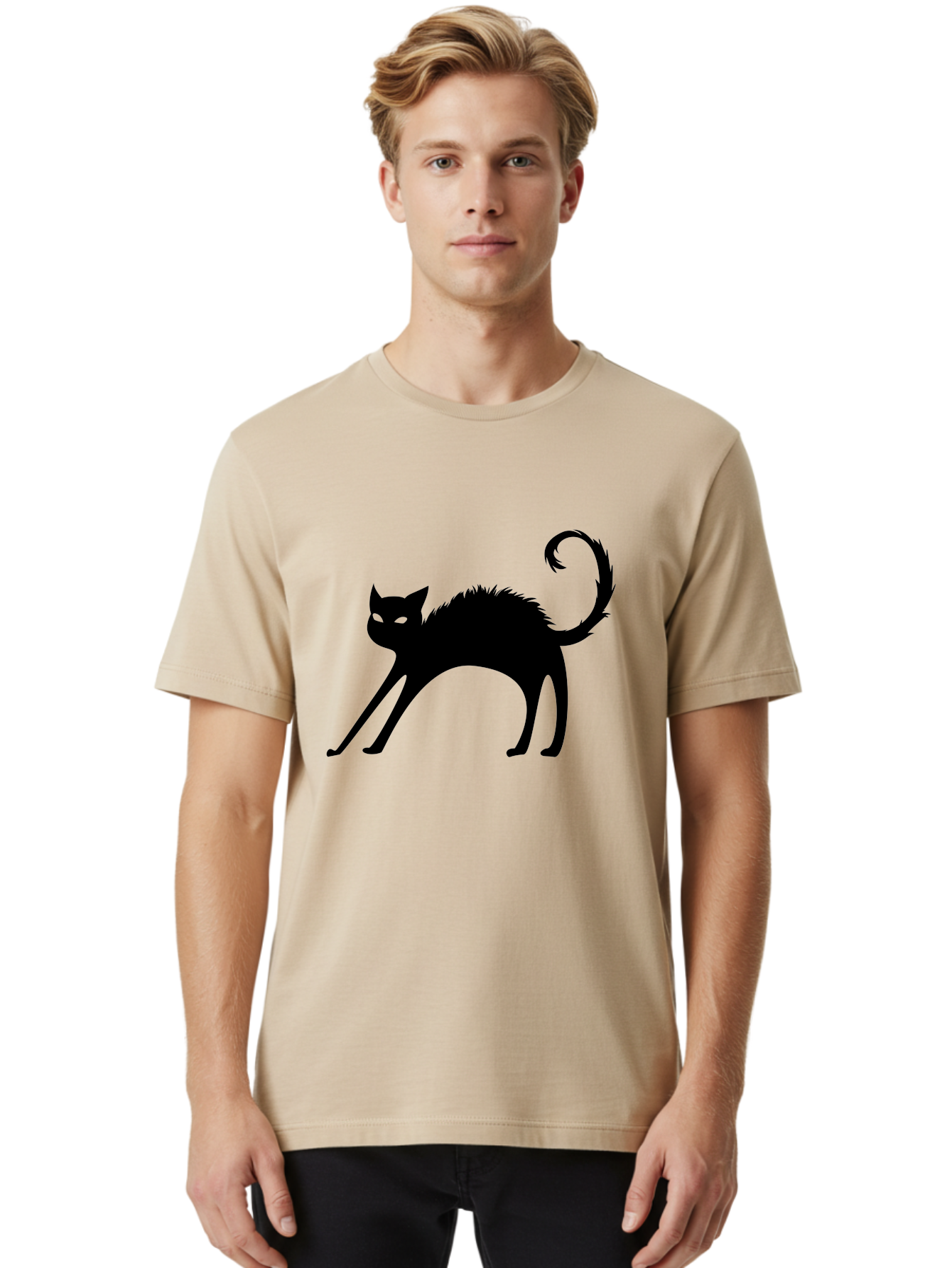 Black-Cat-Silhouette-1 Men'S Graphic Tee, 100% Cotton, Comfortable Casual Summer Wear, Machine Washable, Black Cat Silhouette, Spooky Cat, Halloween Symbol, Mysterious Animal, Glowing Eyes, Feline Silhouette, Mystical Creature, Aab202 12