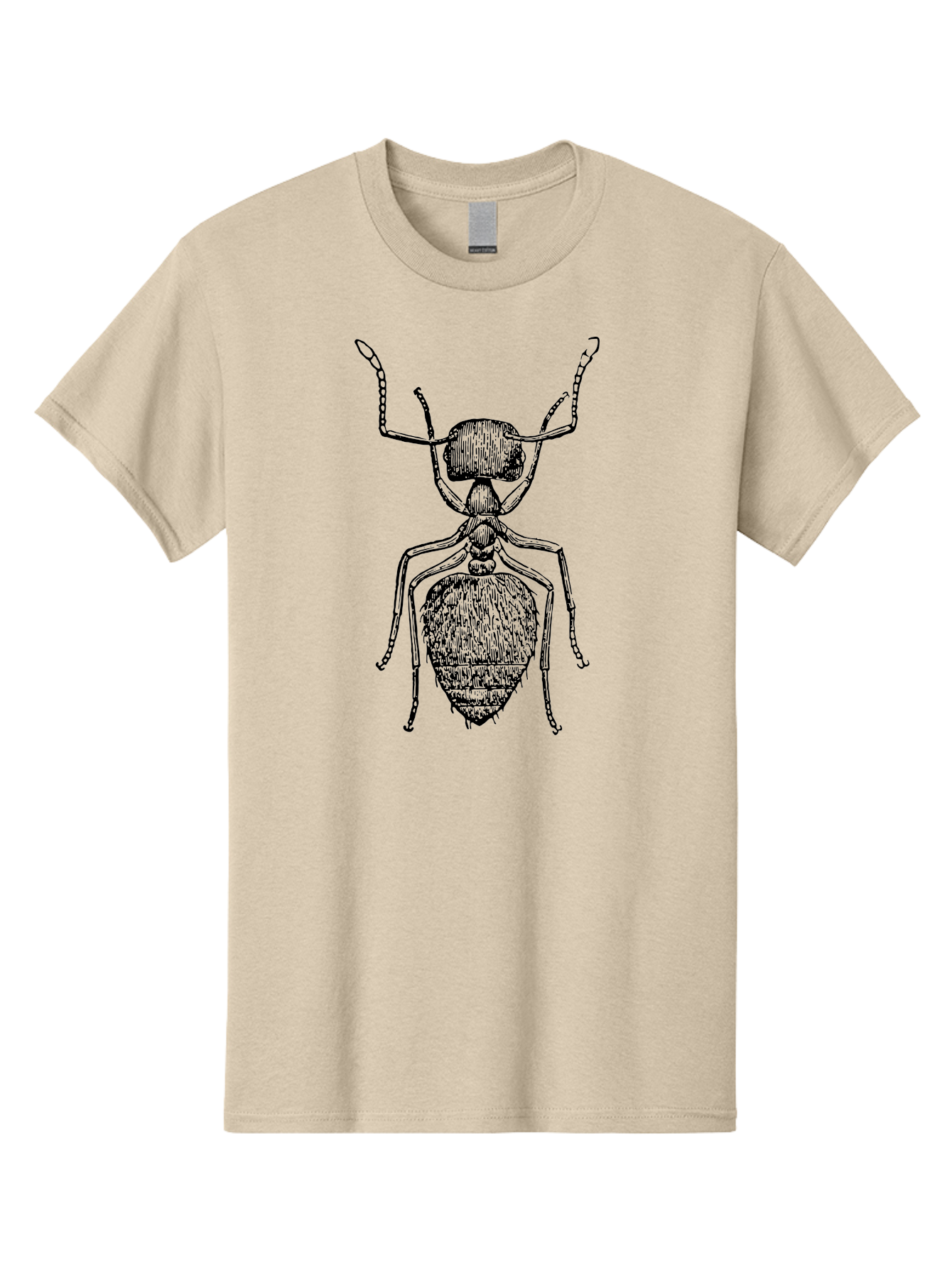 Ant-Illustration Men'S Graphic Tee, 100% Cotton, Comfortable Casual Summer Wear, Machine Washable, Black Ant, Insect Art, Detailed Drawing, Entomology, Bug Illustration, Insect Anatomy, Natural History Aab495 9
