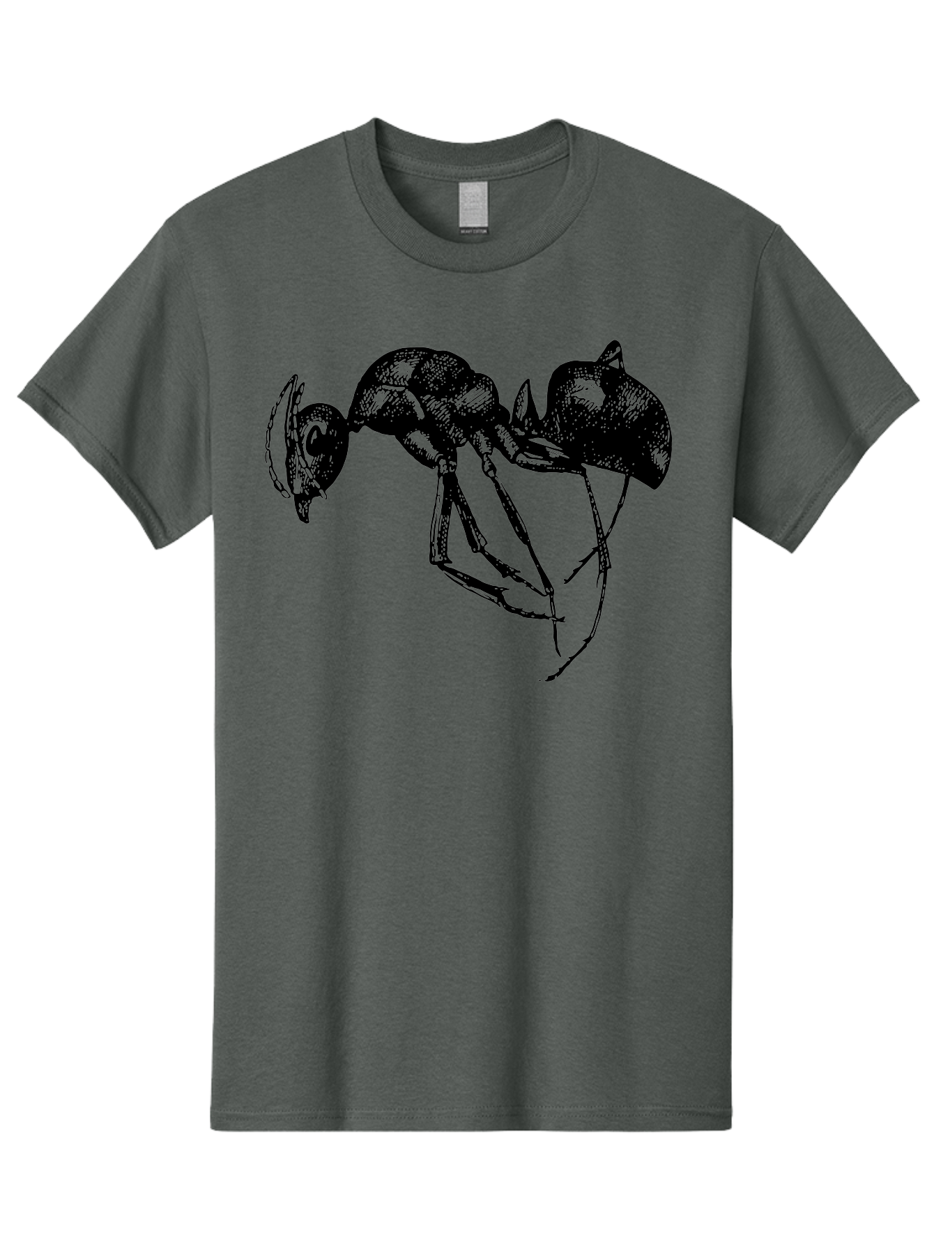 Ant Men'S Graphic Tee, 100% Cotton, Comfortable Casual Summer Wear, Machine Washable, Black Ant, Insect Illustration, Detailed Drawing, Sketch Art, Nature Graphic, Bug Design, Entomology, Wildlife Art Aab496 27