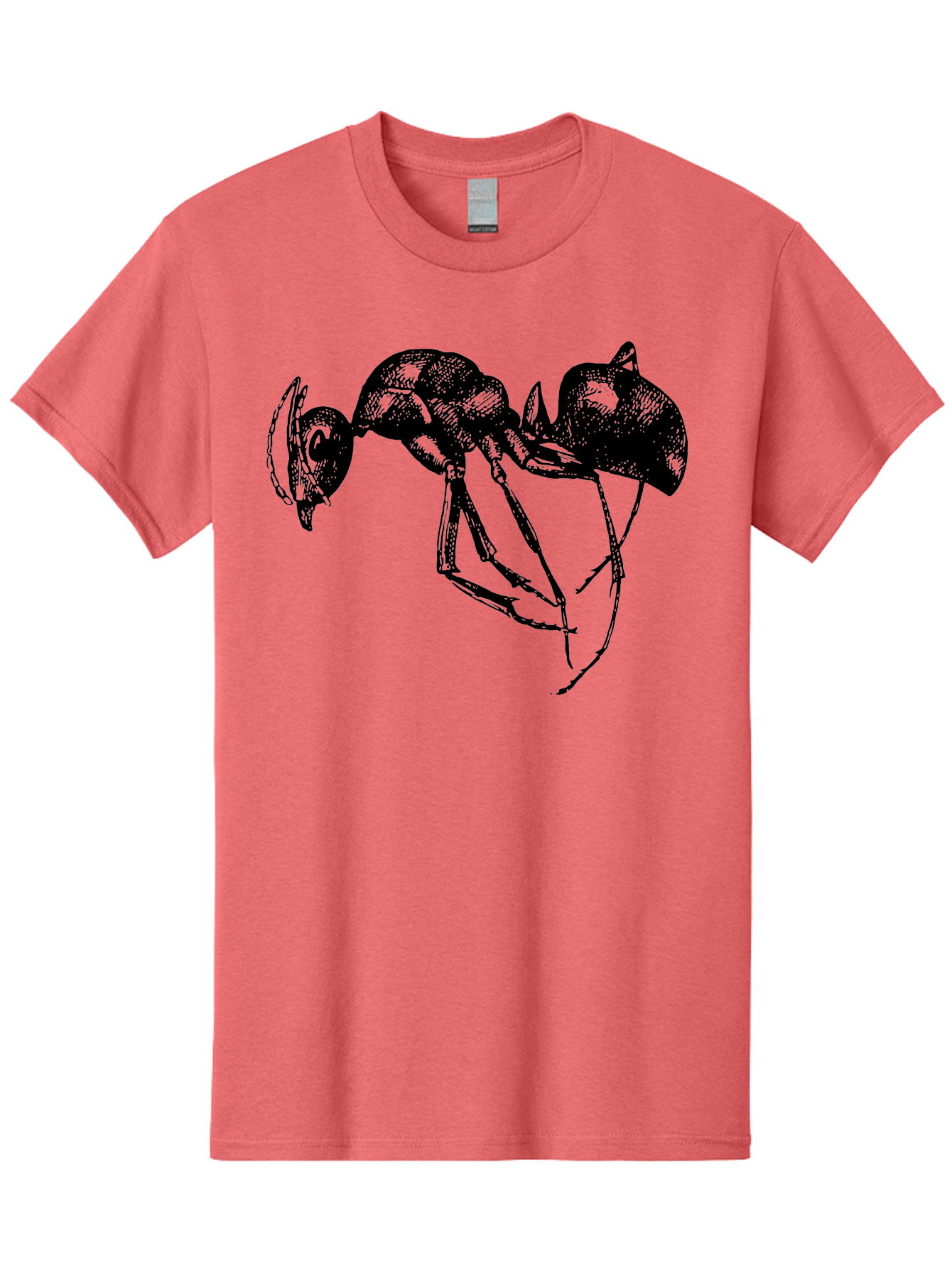 Ant Men'S Graphic Tee, 100% Cotton, Comfortable Casual Summer Wear, Machine Washable, Black Ant, Insect Illustration, Detailed Drawing, Sketch Art, Nature Graphic, Bug Design, Entomology, Wildlife Art Aab496 25
