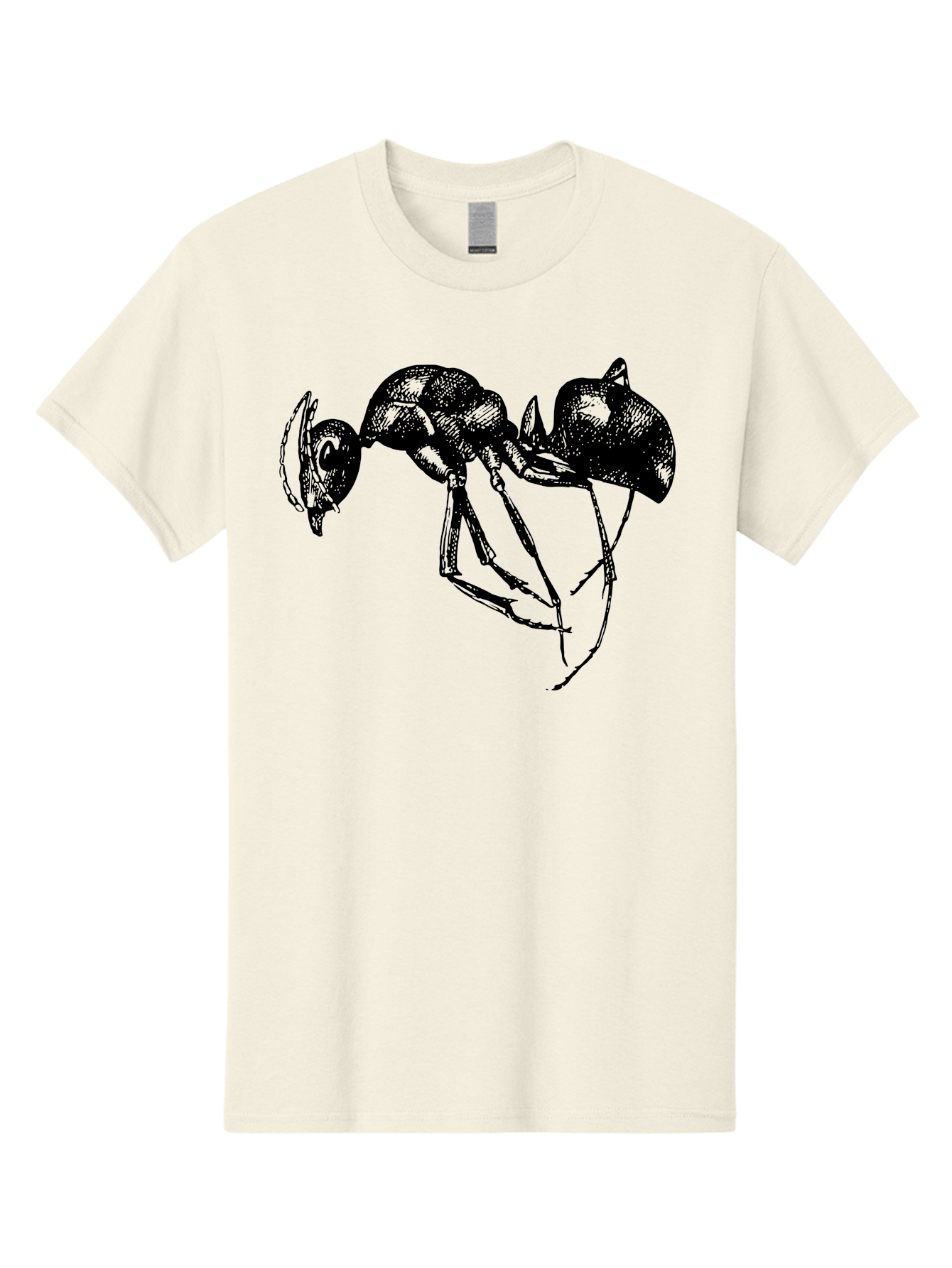 Ant Men'S Graphic Tee, 100% Cotton, Comfortable Casual Summer Wear, Machine Washable, Black Ant, Insect Illustration, Detailed Drawing, Sketch Art, Nature Graphic, Bug Design, Entomology, Wildlife Art Aab496 23
