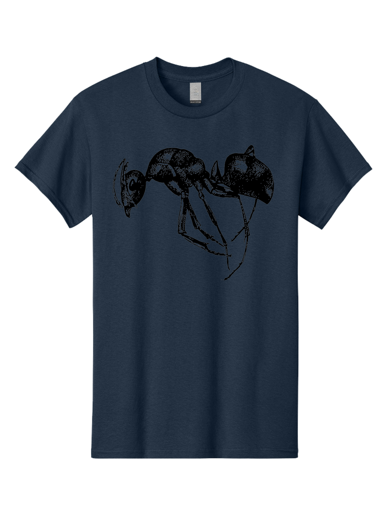 Ant Men'S Graphic Tee, 100% Cotton, Comfortable Casual Summer Wear, Machine Washable, Black Ant, Insect Illustration, Detailed Drawing, Sketch Art, Nature Graphic, Bug Design, Entomology, Wildlife Art Aab496 13