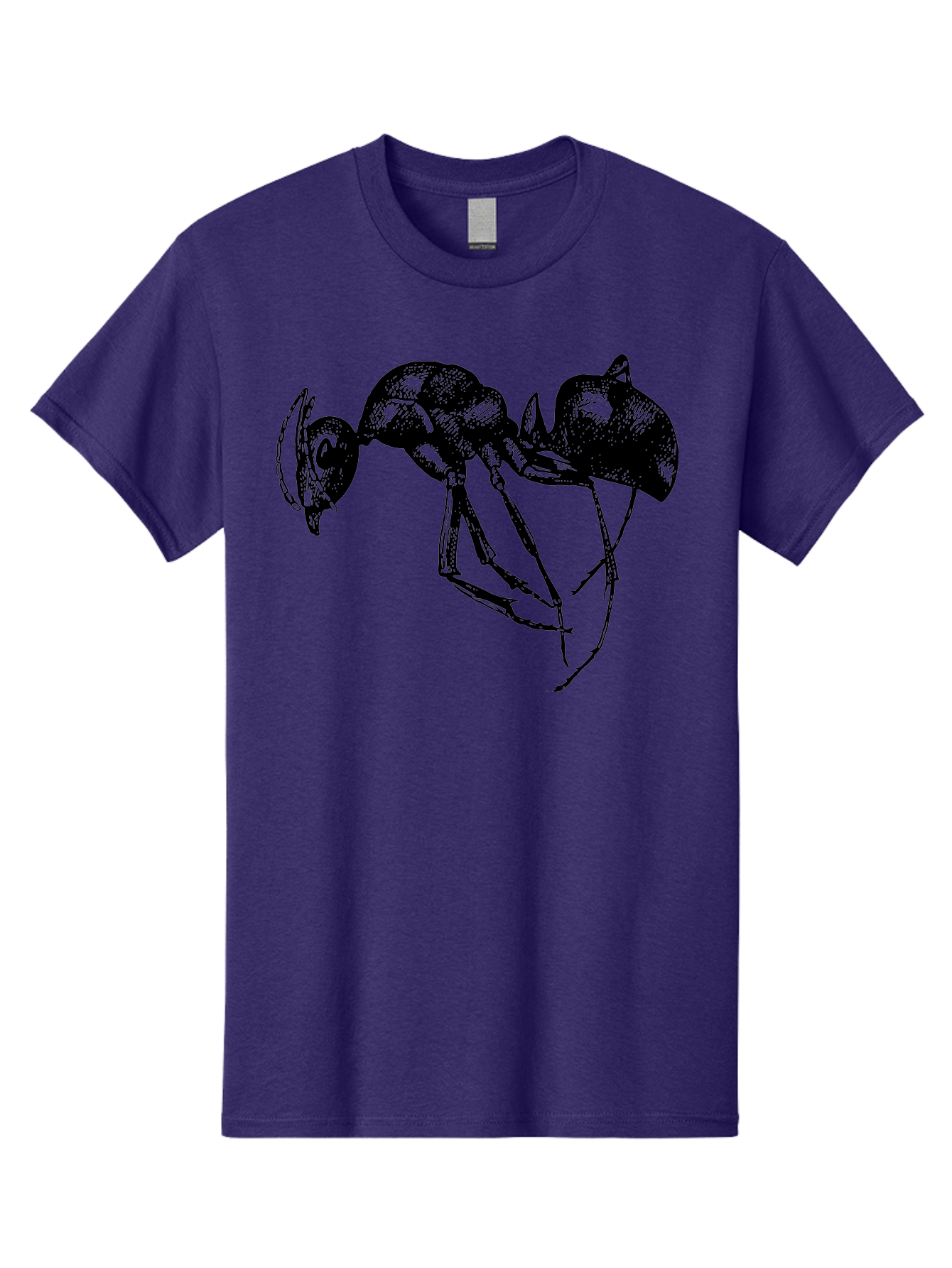 Ant Men'S Graphic Tee, 100% Cotton, Comfortable Casual Summer Wear, Machine Washable, Black Ant, Insect Illustration, Detailed Drawing, Sketch Art, Nature Graphic, Bug Design, Entomology, Wildlife Art Aab496 21