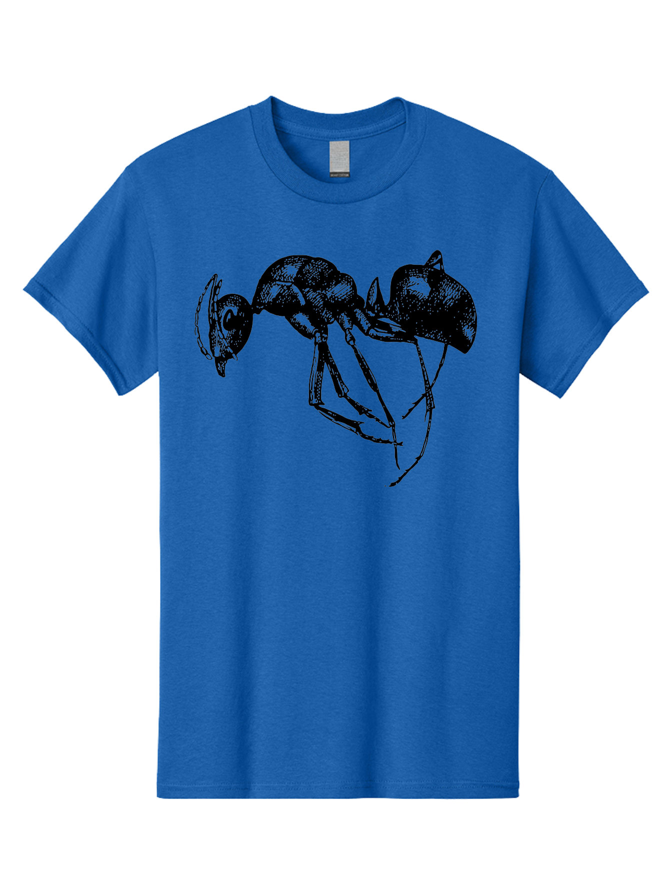 Ant Men'S Graphic Tee, 100% Cotton, Comfortable Casual Summer Wear, Machine Washable, Black Ant, Insect Illustration, Detailed Drawing, Sketch Art, Nature Graphic, Bug Design, Entomology, Wildlife Art Aab496 19
