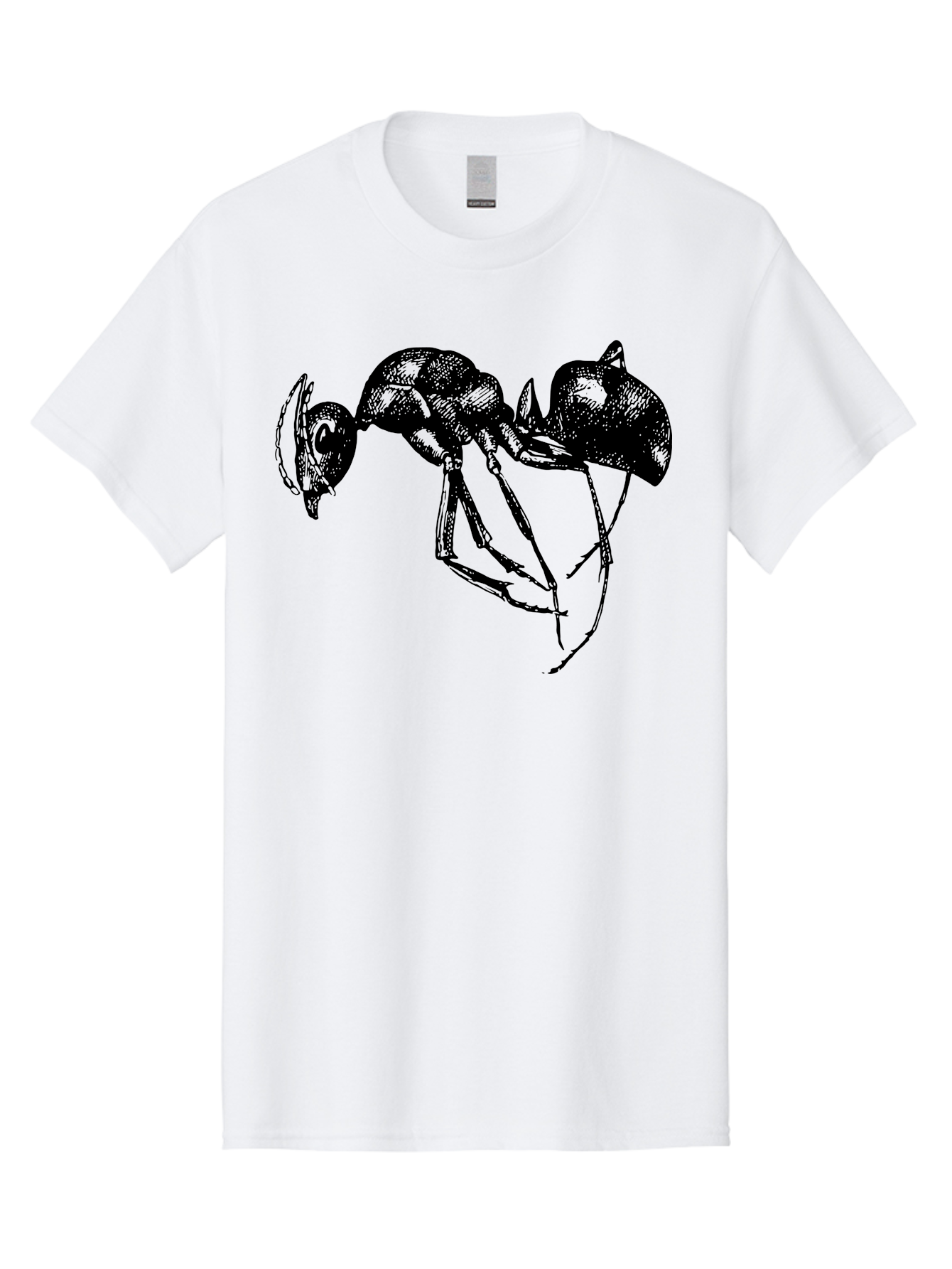 Ant Men'S Graphic Tee, 100% Cotton, Comfortable Casual Summer Wear, Machine Washable, Black Ant, Insect Illustration, Detailed Drawing, Sketch Art, Nature Graphic, Bug Design, Entomology, Wildlife Art Aab496 7