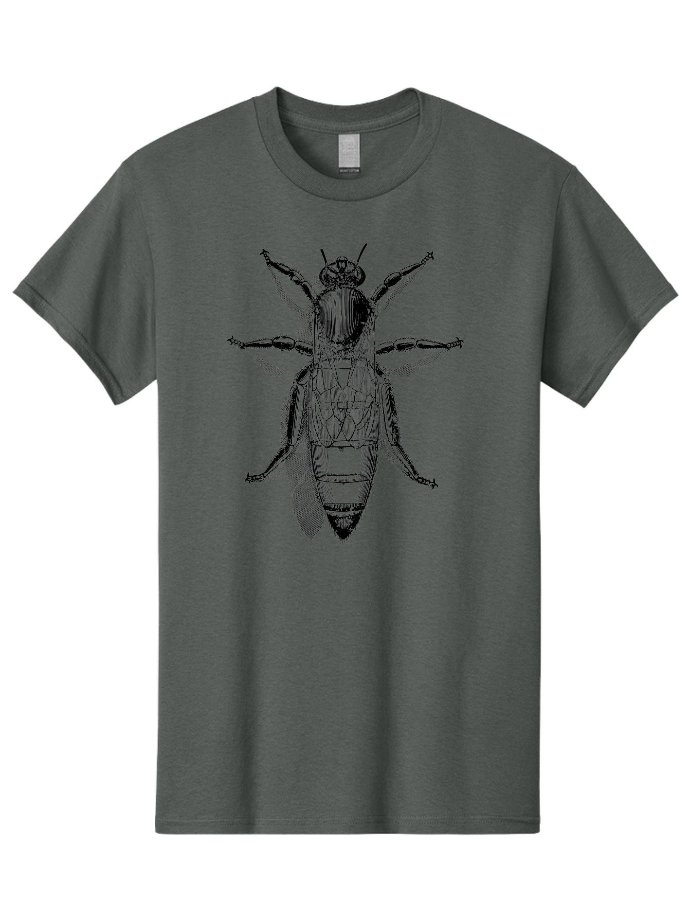 Beetle-Diagram Men'S Graphic Tee, 100% Cotton, Comfortable Casual Summer Wear, Machine Washable, Beetle Diagram, Insect Anatomy, Entomology Illustration, Technical Drawing, Bugs, Insects, Detailed Design, Scientific Artwork, Bug Structure Aab506 3