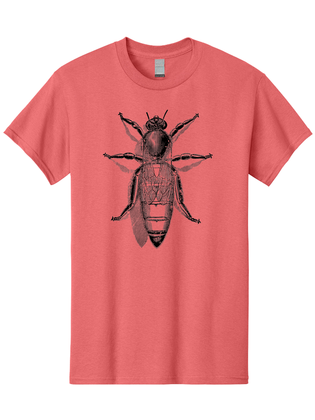 Beetle-Diagram Men'S Graphic Tee, 100% Cotton, Comfortable Casual Summer Wear, Machine Washable, Beetle Diagram, Insect Anatomy, Entomology Illustration, Technical Drawing, Bugs, Insects, Detailed Design, Scientific Artwork, Bug Structure Aab506 5