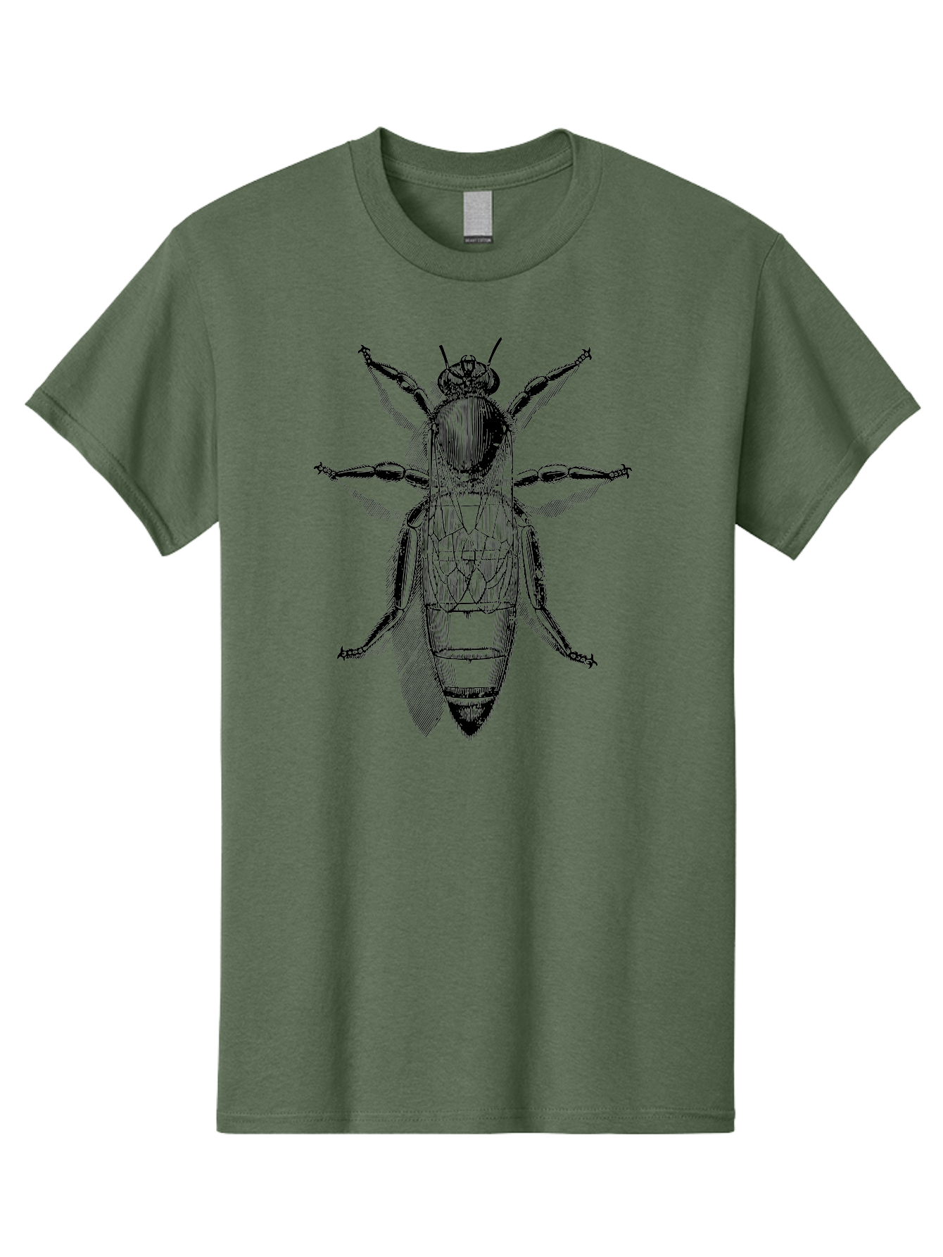 Beetle-Diagram Men'S Graphic Tee, 100% Cotton, Comfortable Casual Summer Wear, Machine Washable, Beetle Diagram, Insect Anatomy, Entomology Illustration, Technical Drawing, Bugs, Insects, Detailed Design, Scientific Artwork, Bug Structure Aab506 15