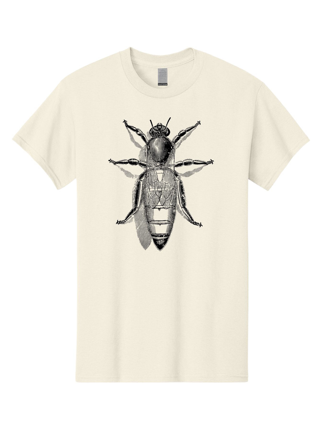 Beetle-Diagram Men'S Graphic Tee, 100% Cotton, Comfortable Casual Summer Wear, Machine Washable, Beetle Diagram, Insect Anatomy, Entomology Illustration, Technical Drawing, Bugs, Insects, Detailed Design, Scientific Artwork, Bug Structure Aab506 17