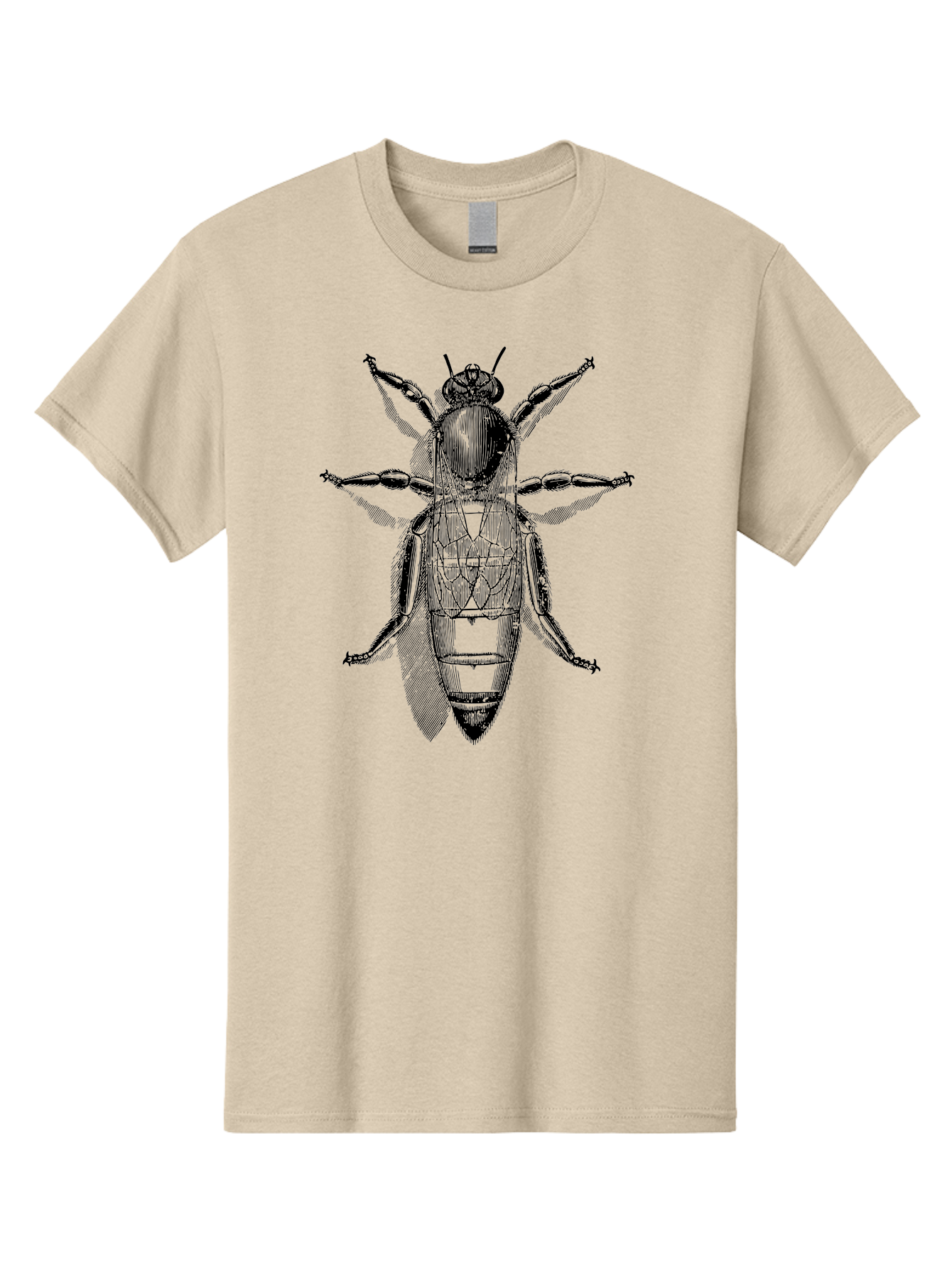 Beetle-Diagram Men'S Graphic Tee, 100% Cotton, Comfortable Casual Summer Wear, Machine Washable, Beetle Diagram, Insect Anatomy, Entomology Illustration, Technical Drawing, Bugs, Insects, Detailed Design, Scientific Artwork, Bug Structure Aab506 27