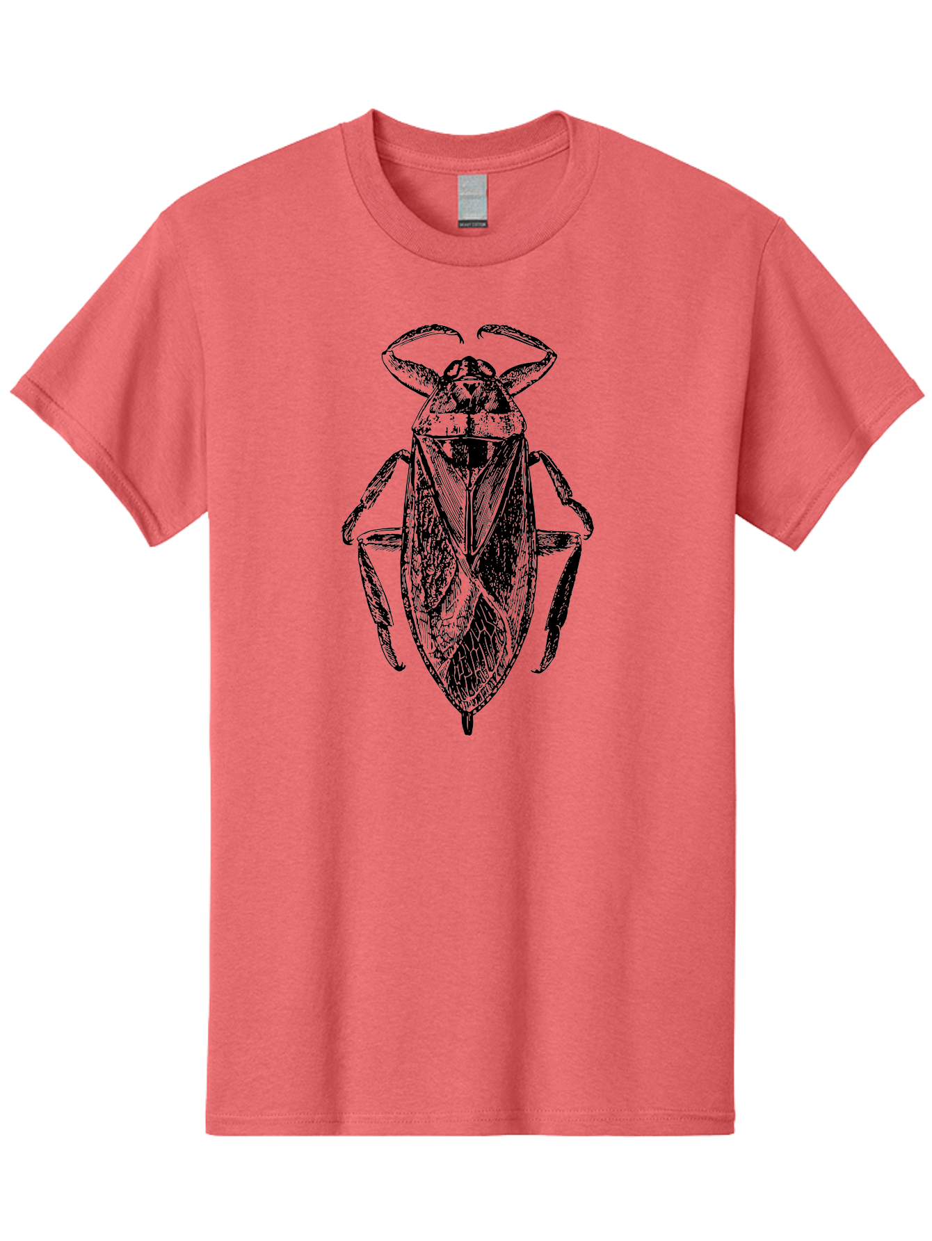 Bug-Illustration Men'S Graphic Tee, 100% Cotton, Comfortable Casual Summer Wear, Machine Washable, Insect Illustration, Entomology Art, Bug Drawing, Water Bug, Insect Anatomy, Wildlife Illustration, Detailed Artwork, Realistic Bug, Aab512 5