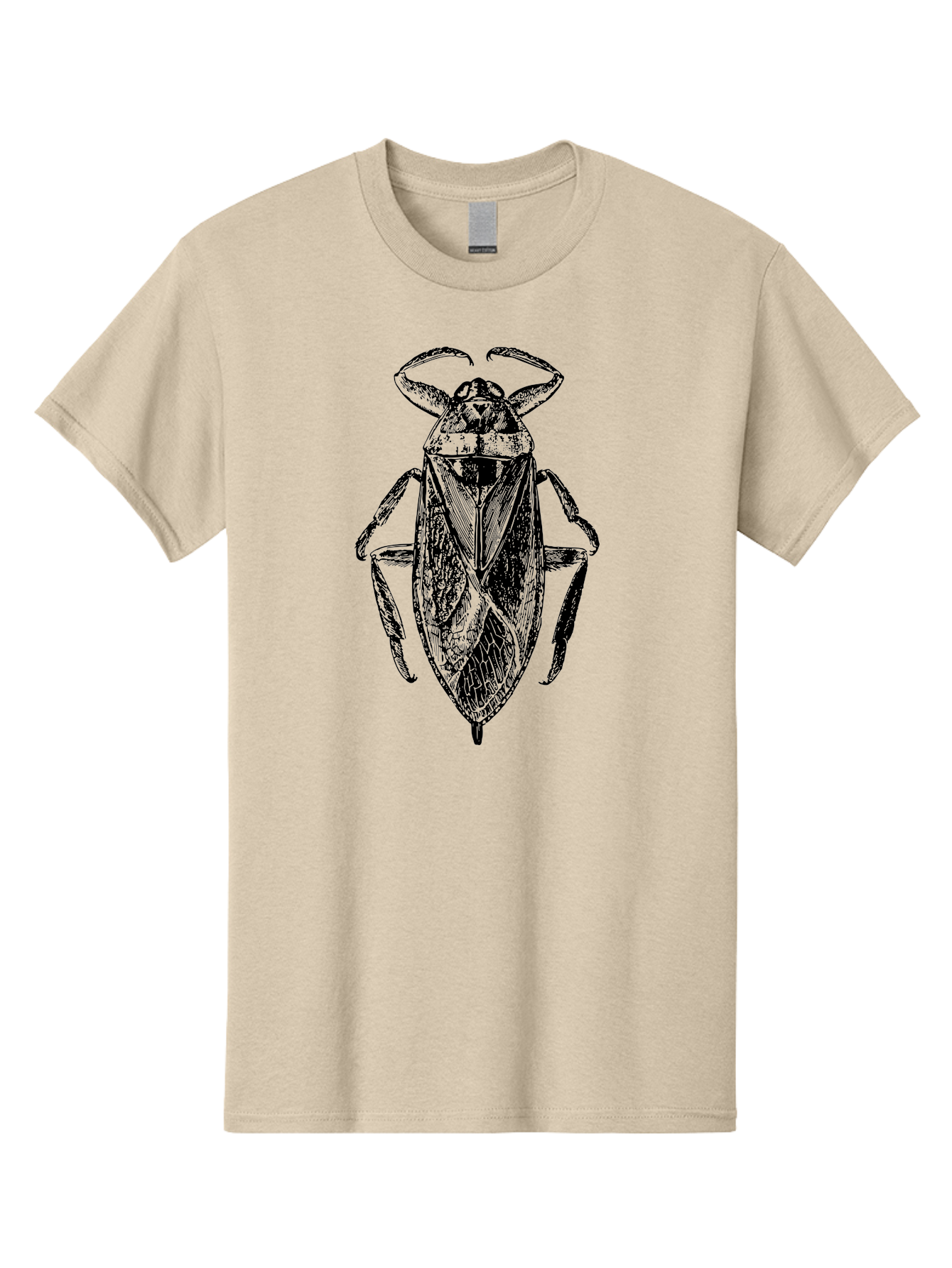Bug-Illustration Men'S Graphic Tee, 100% Cotton, Comfortable Casual Summer Wear, Machine Washable, Insect Illustration, Entomology Art, Bug Drawing, Water Bug, Insect Anatomy, Wildlife Illustration, Detailed Artwork, Realistic Bug, Aab512 27