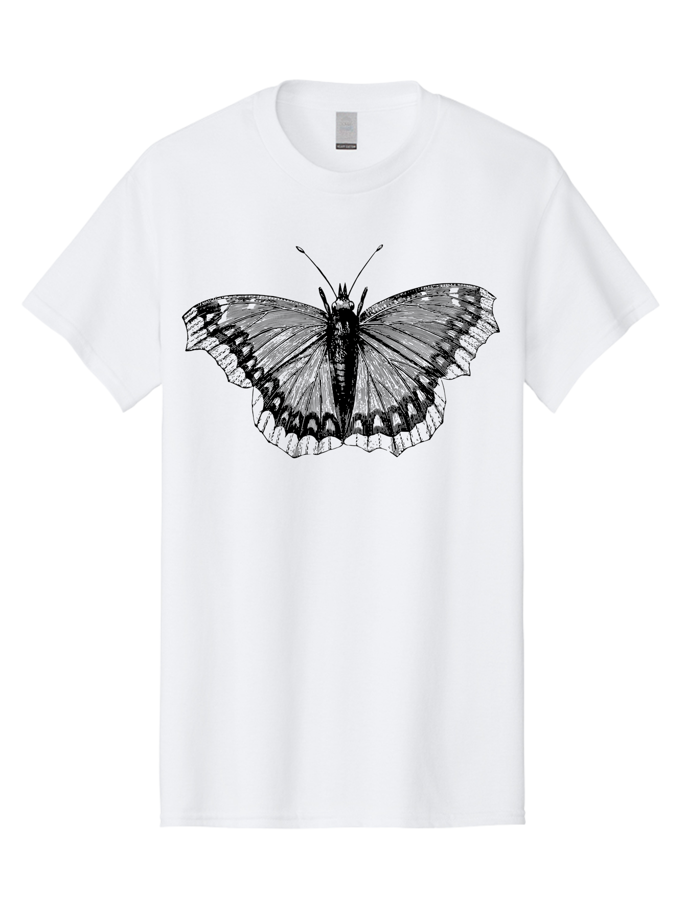 Butterfly-Illustration Men'S Graphic Tee, 100% Cotton, Comfortable Casual Summer Wear, Machine Washable, Butterfly Illustration, Insect Art, Wing Patterns, Detailed Drawing, Black And Green Hues, Fragile Beauty, Natural Design Aab514 29