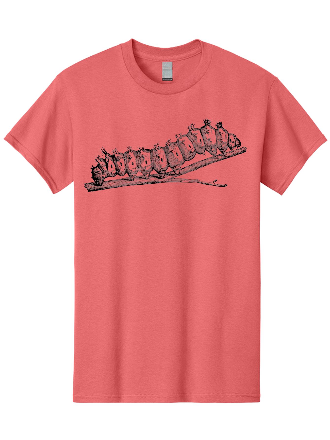 Caterpillar-On-Branch Men'S Graphic Tee, 100% Cotton, Comfortable Casual Summer Wear, Machine Washable, Caterpillar On Branch, Insect Metamorphosis, Garden Pests, Butterfly Life Cycle, Caterpillar Stages, Insect Illustration, Entomology Art Aab518 9