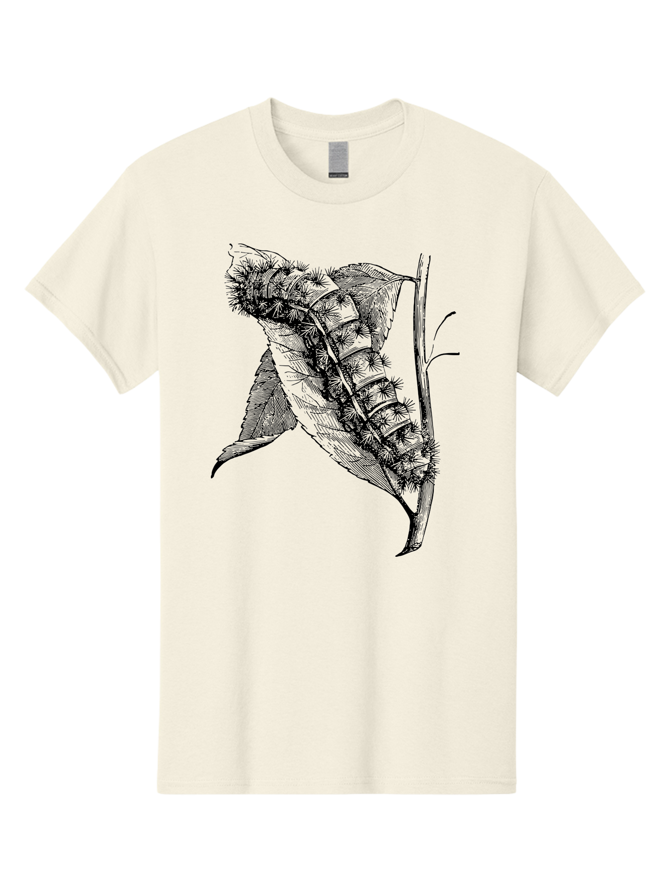 Caterpillar-On-Leaf Men'S Graphic Tee, 100% Cotton, Comfortable Casual Summer Wear, Machine Washable, Caterpillar On A Leaf, Insect Life Cycle, Metamorphosis, Nature Illustration, Botanical Art, Wildlife, Detailed Drawing, Spiky Caterpillar, Aab520 3