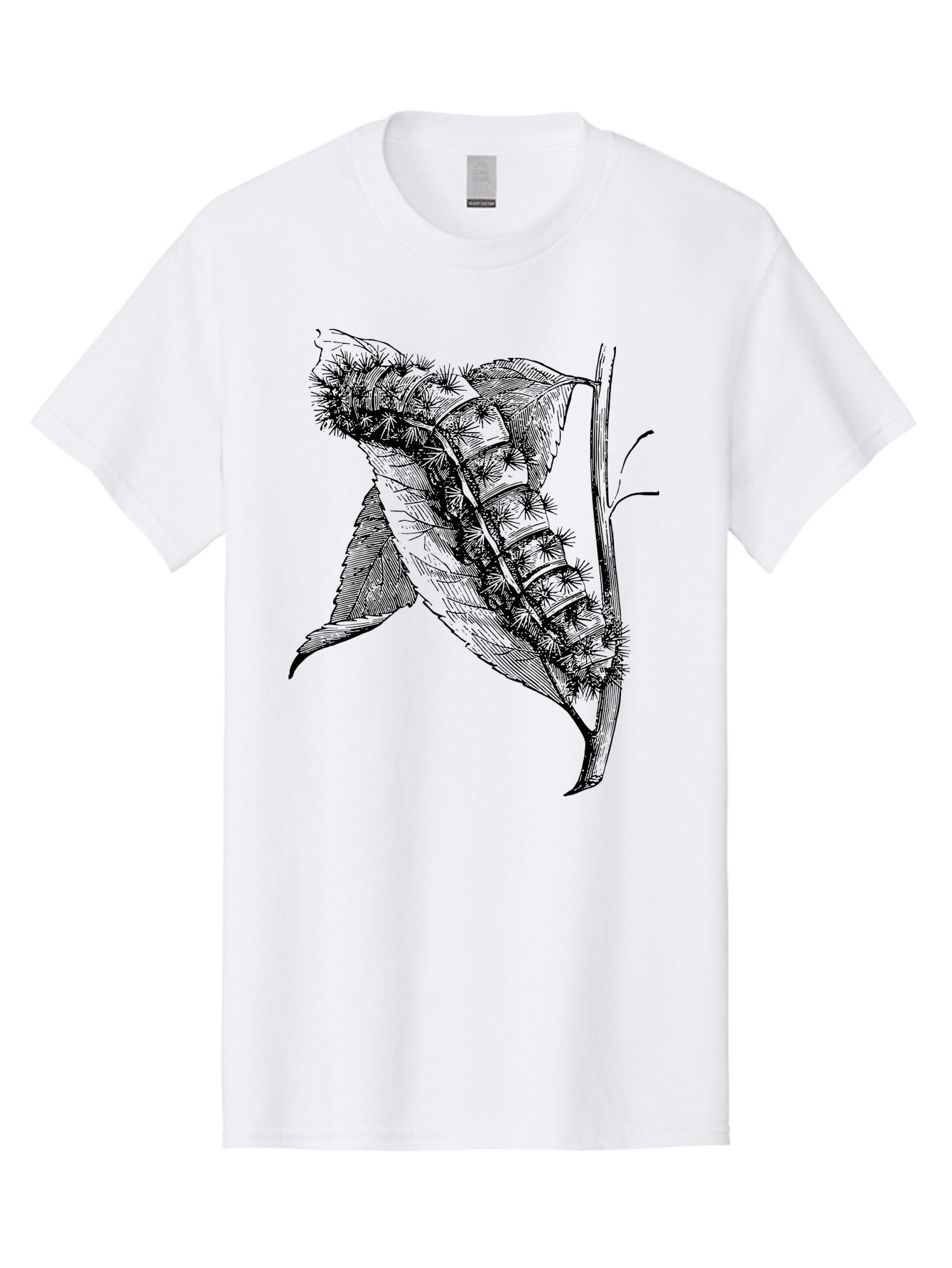 Caterpillar-On-Leaf Men'S Graphic Tee, 100% Cotton, Comfortable Casual Summer Wear, Machine Washable, Caterpillar On A Leaf, Insect Life Cycle, Metamorphosis, Nature Illustration, Botanical Art, Wildlife, Detailed Drawing, Spiky Caterpillar, Aab520 13