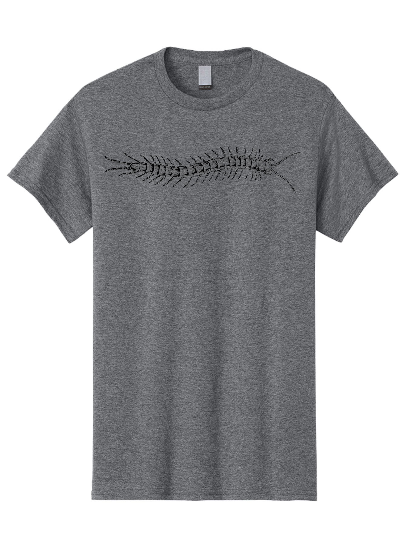 Centipede-1 Men'S Graphic Tee, 100% Cotton, Comfortable Casual Summer Wear, Machine Washable, Centipede, Insect, Arthropod, Segmented Body, Multiple Legs, Long Antennae, Creepy Crawlers, Entomology, Wildlife, Fauna Aab521 9