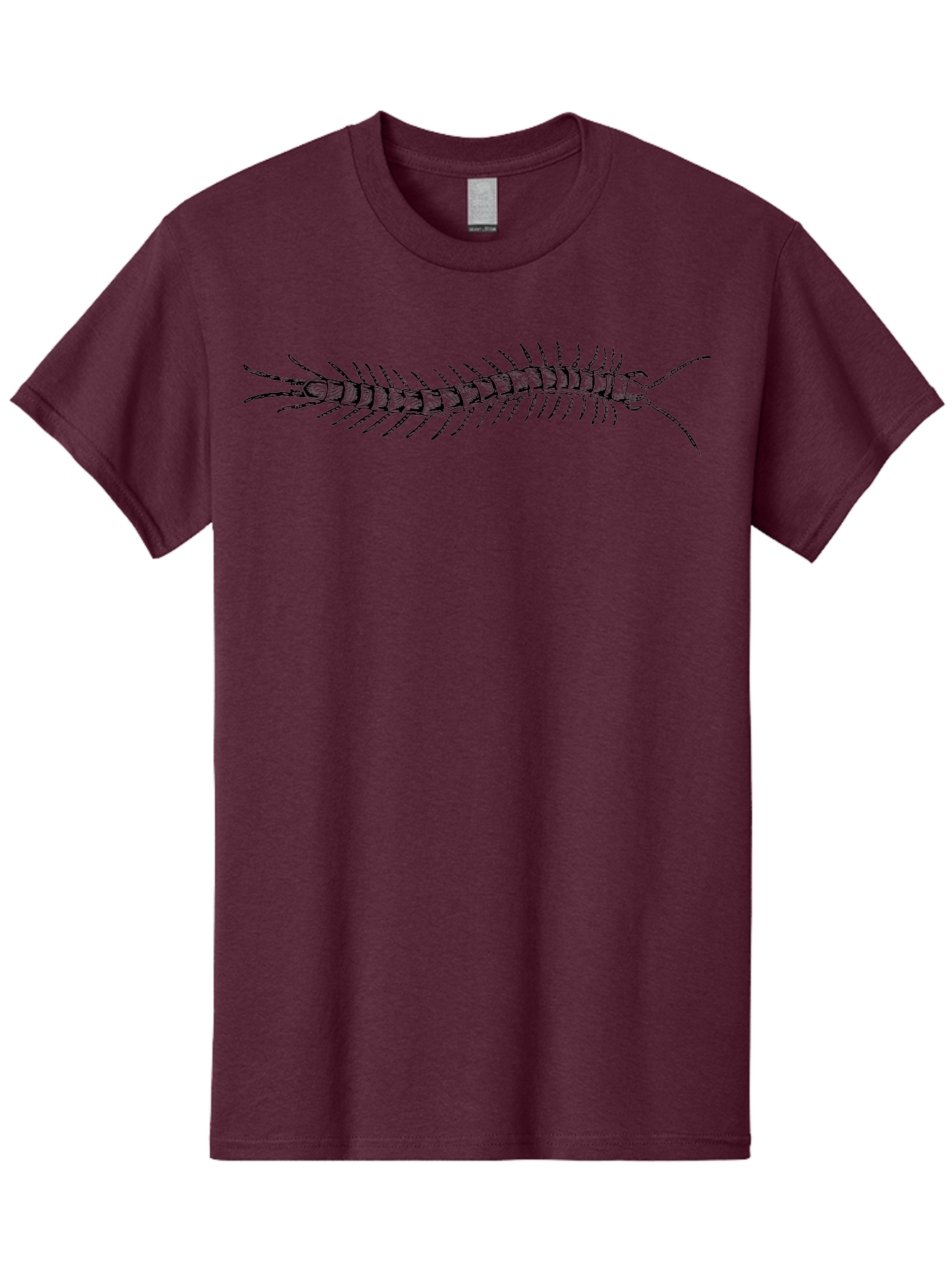 Centipede-1 Men'S Graphic Tee, 100% Cotton, Comfortable Casual Summer Wear, Machine Washable, Centipede, Insect, Arthropod, Segmented Body, Multiple Legs, Long Antennae, Creepy Crawlers, Entomology, Wildlife, Fauna Aab521 13