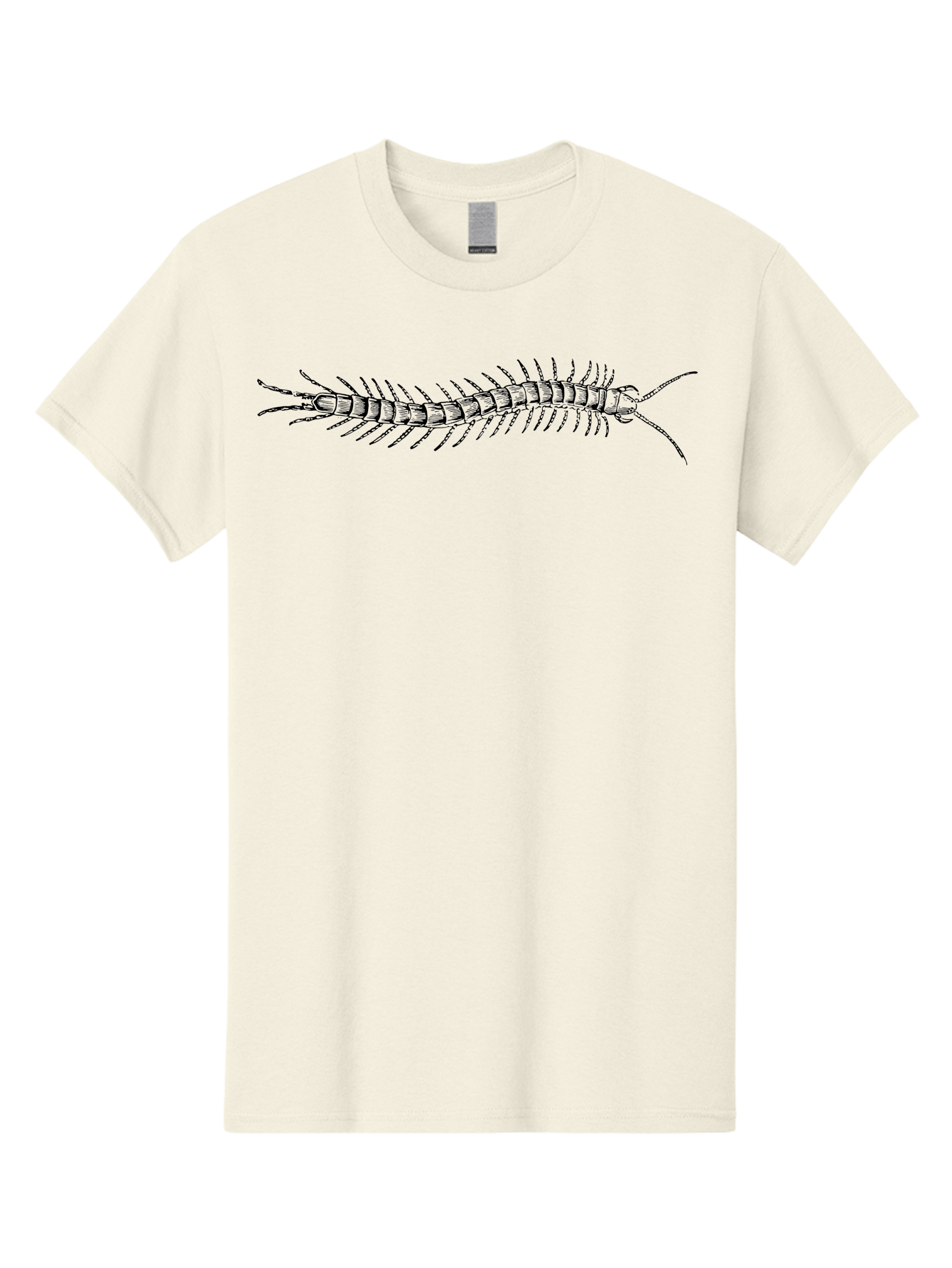 Centipede-1 Men'S Graphic Tee, 100% Cotton, Comfortable Casual Summer Wear, Machine Washable, Centipede, Insect, Arthropod, Segmented Body, Multiple Legs, Long Antennae, Creepy Crawlers, Entomology, Wildlife, Fauna Aab521 17