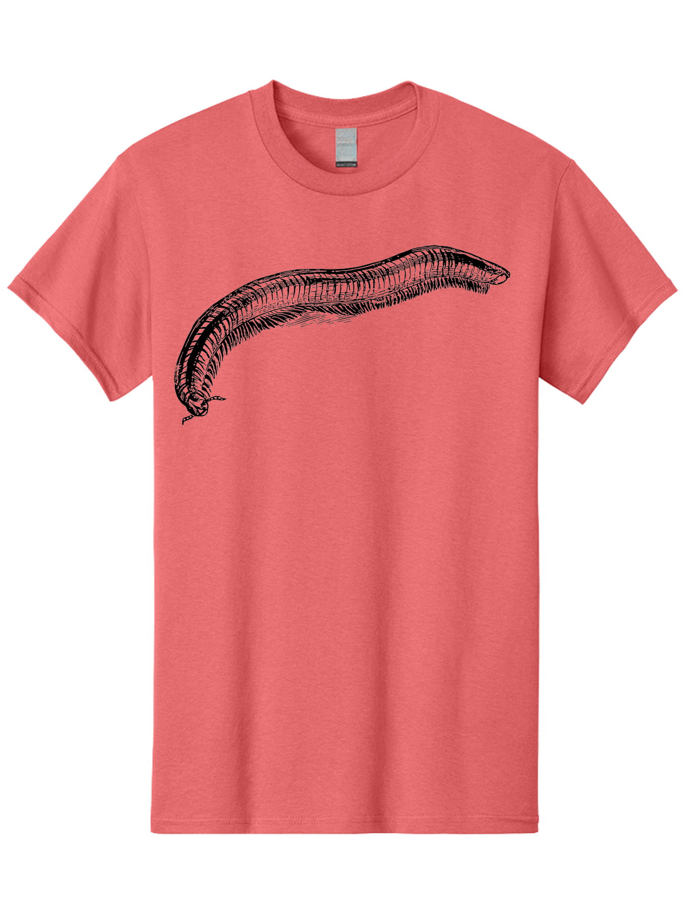 Centipede Men'S Graphic Tee, 100% Cotton, Comfortable Casual Summer Wear, Machine Washable, Centipede, Arthropod, Insect Anatomy, Detailed Drawing, Black Lines, Simple Background, Invertebrate, Segmented Body, Many Legs Aab522 5