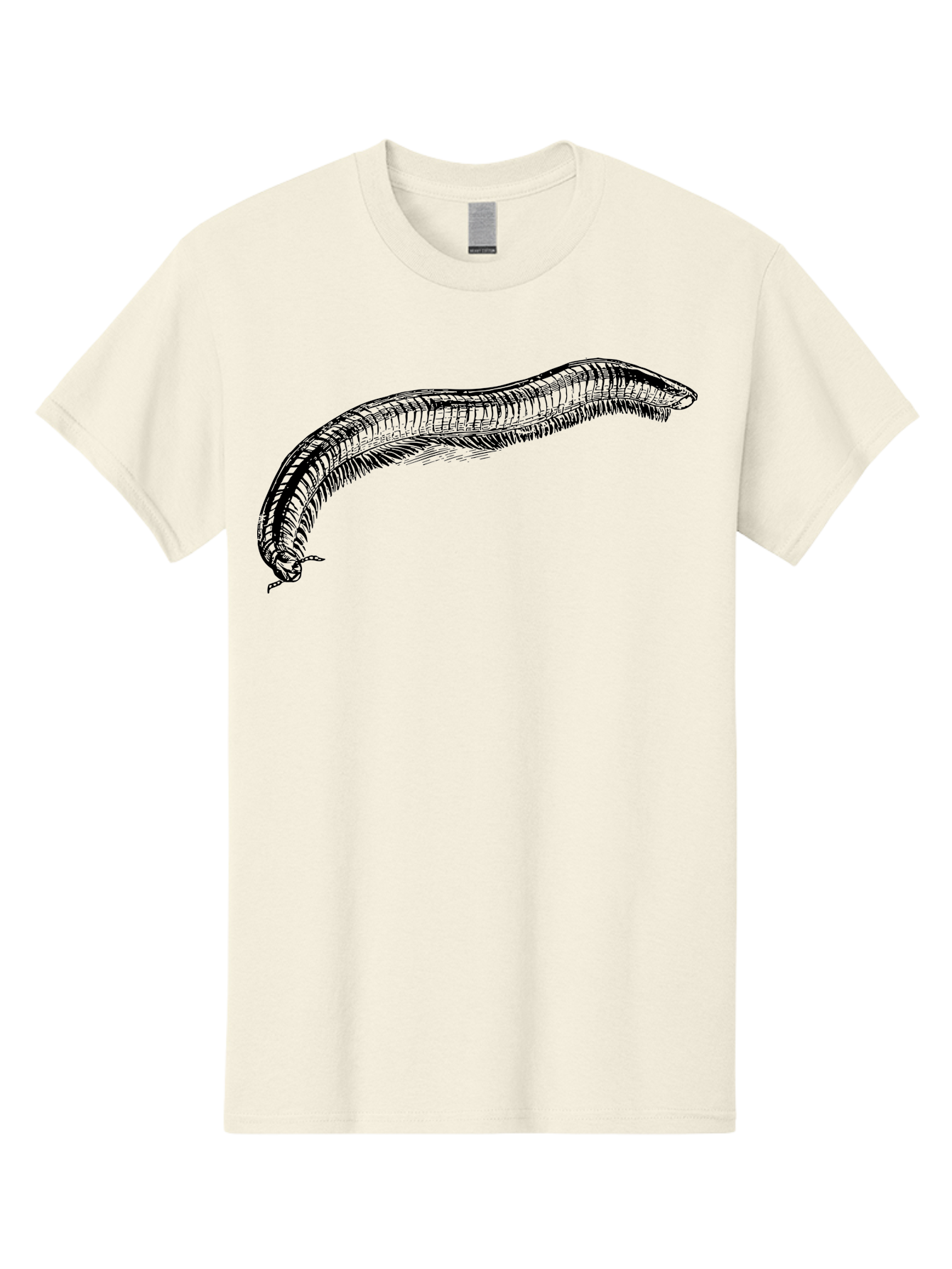 Centipede Men'S Graphic Tee, 100% Cotton, Comfortable Casual Summer Wear, Machine Washable, Centipede, Arthropod, Insect Anatomy, Detailed Drawing, Black Lines, Simple Background, Invertebrate, Segmented Body, Many Legs Aab522 17