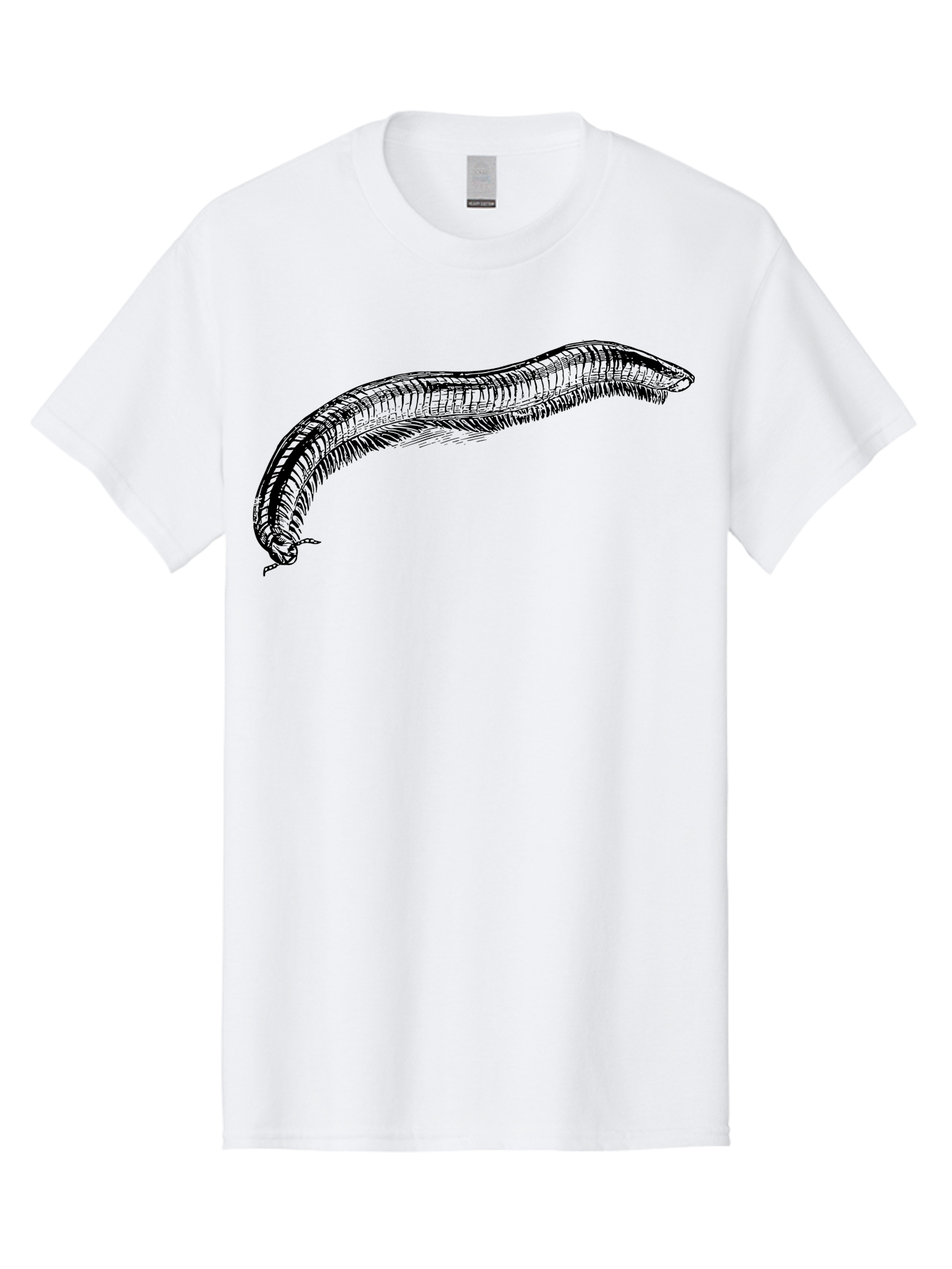 Centipede Men'S Graphic Tee, 100% Cotton, Comfortable Casual Summer Wear, Machine Washable, Centipede, Arthropod, Insect Anatomy, Detailed Drawing, Black Lines, Simple Background, Invertebrate, Segmented Body, Many Legs Aab522 29