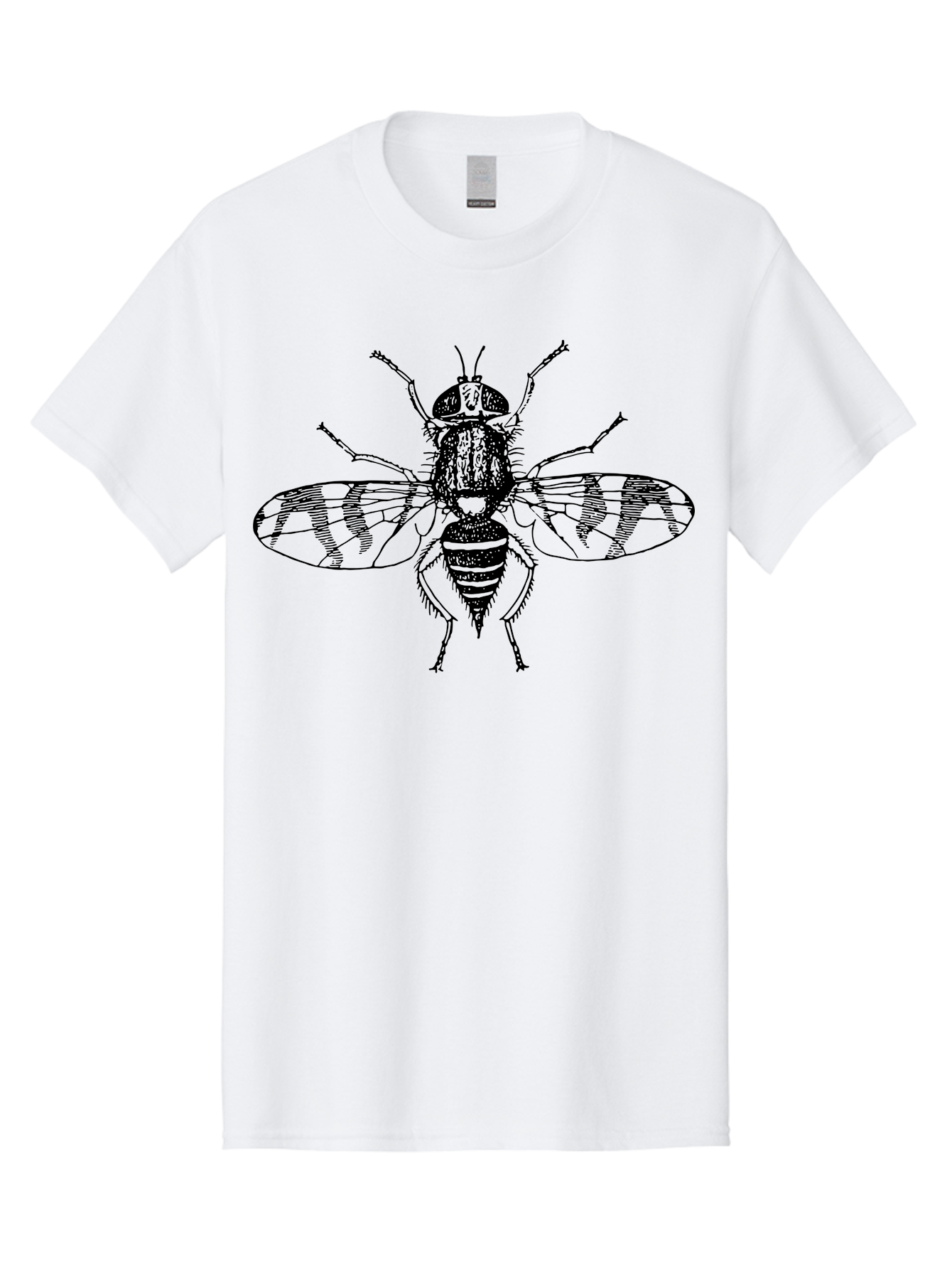 Fly Men'S Graphic Tee, 100% Cotton, Comfortable Casual Summer Wear, Machine Washable, Black And White Illustration, Fly With Striped Wings, Insect Art, Detailed Drawing, Entomology, Wildlife Illustration, Vector Graphic Aab534 29