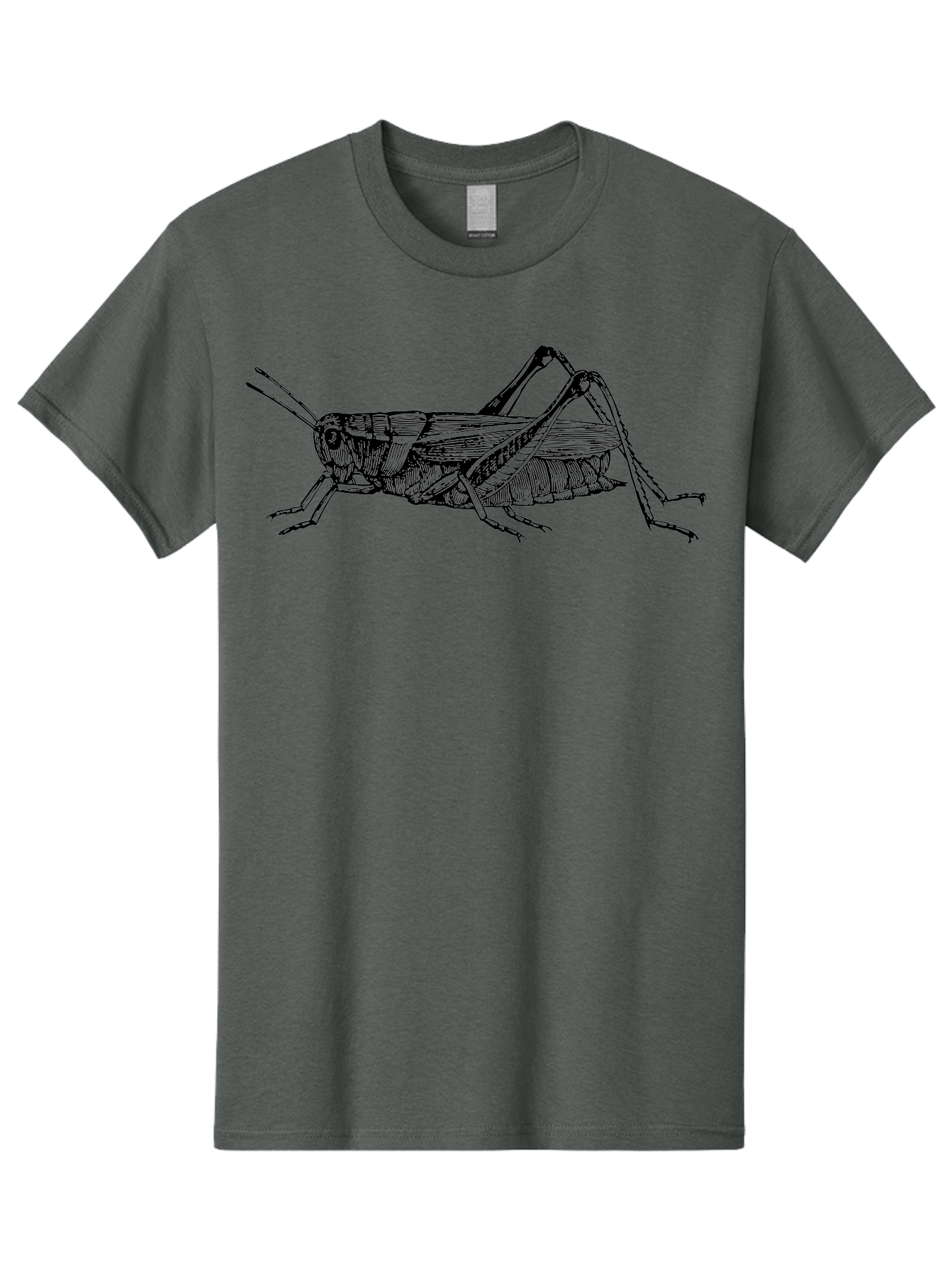 Grasshopper-Illustration Men'S Graphic Tee, 100% Cotton, Comfortable Casual Summer Wear, Machine Washable, Grasshopper Illustration, Insect Art, Detailed Drawing, Black And Green, Wildlife Graphic, Entomology, Nature Design, Bug Illustration Aab536 3