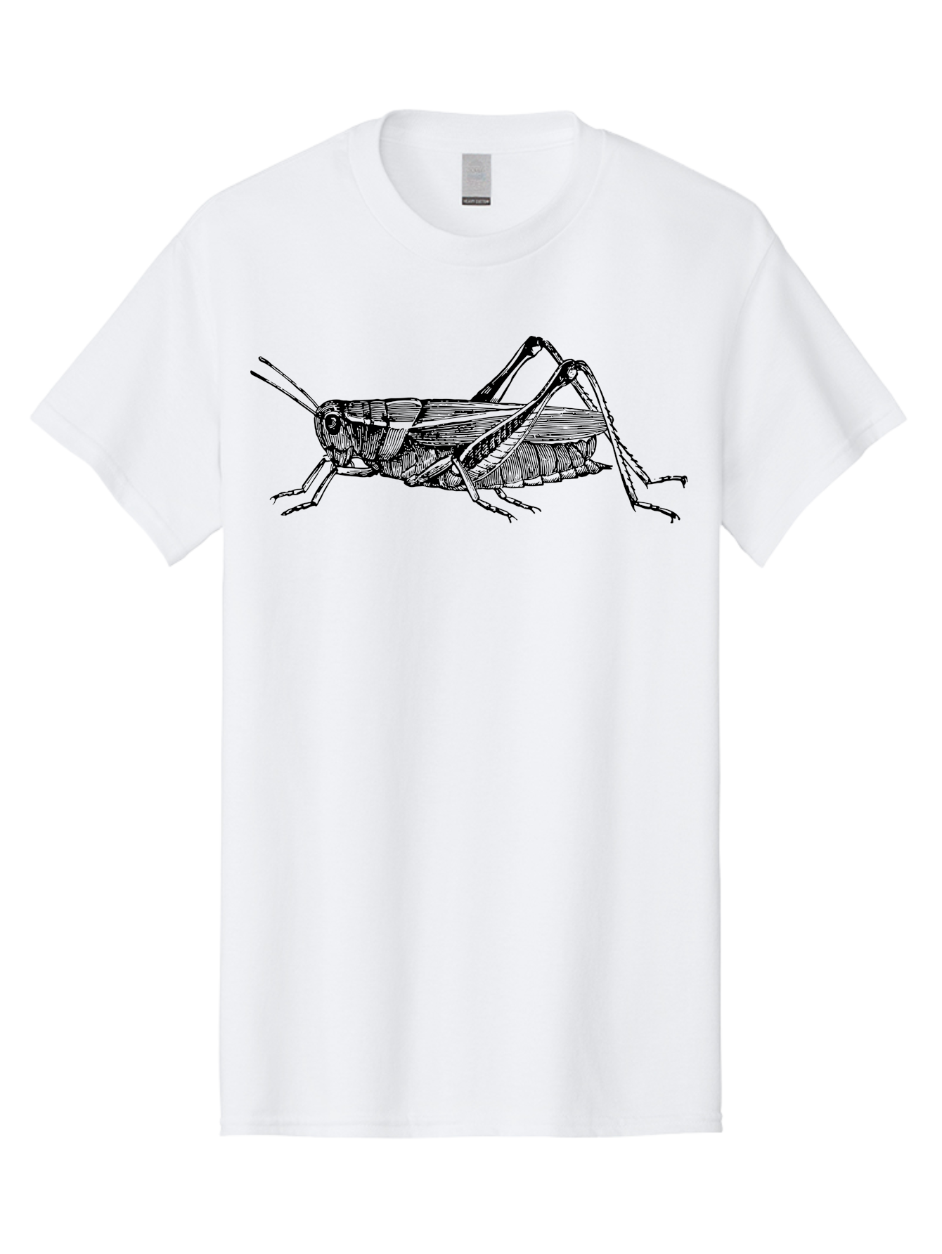 Grasshopper-Illustration Men'S Graphic Tee, 100% Cotton, Comfortable Casual Summer Wear, Machine Washable, Grasshopper Illustration, Insect Art, Detailed Drawing, Black And Green, Wildlife Graphic, Entomology, Nature Design, Bug Illustration Aab536 29