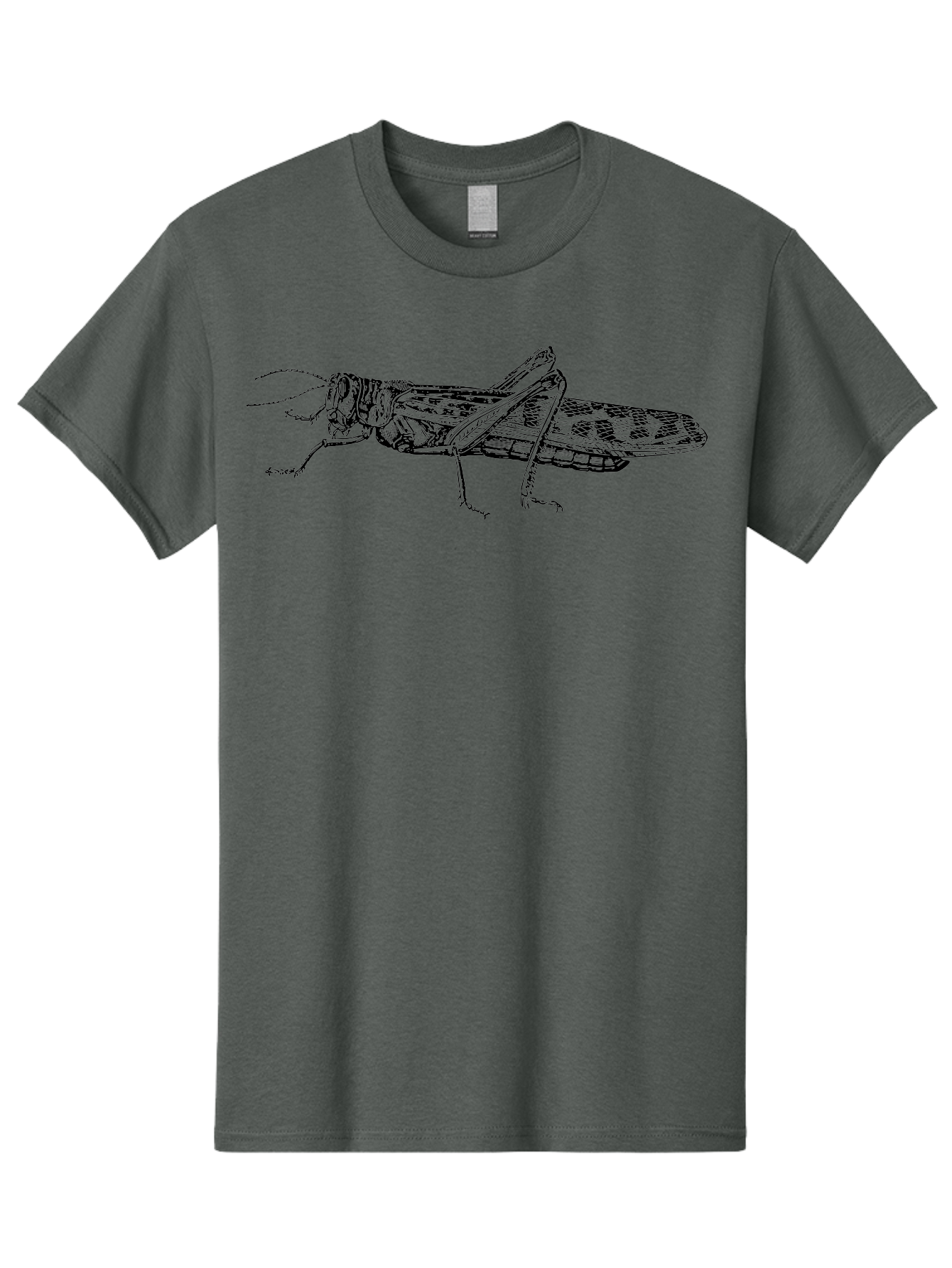 Grasshopper Men'S Graphic Tee, 100% Cotton, Comfortable Casual Summer Wear, Machine Washable, Detailed Illustration, Grasshopper, Insect, Entomology, Wildlife, Sketch Art, Black Lines, Detailed Drawing, Fauna, Zoology Aab537 3