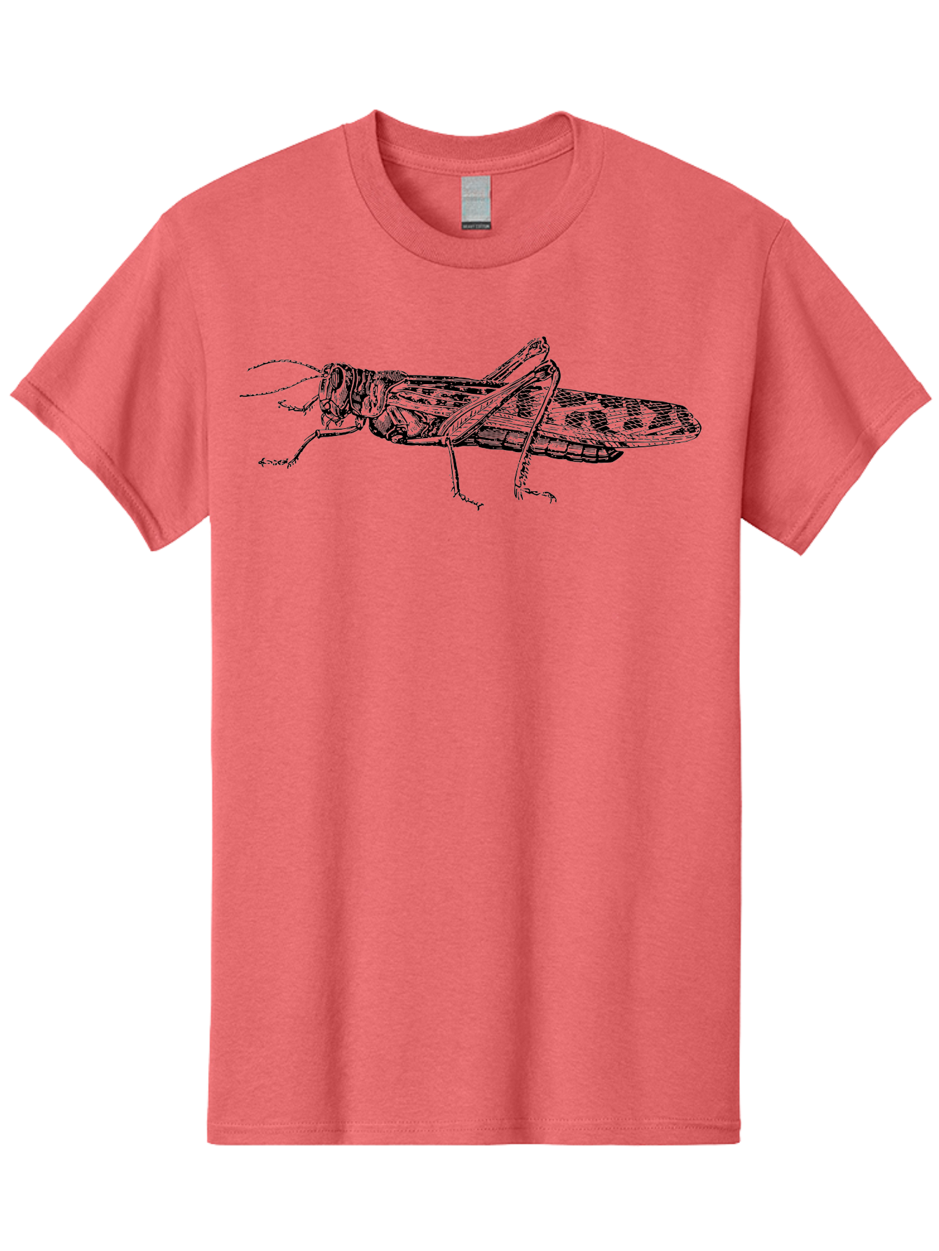 Grasshopper Men'S Graphic Tee, 100% Cotton, Comfortable Casual Summer Wear, Machine Washable, Detailed Illustration, Grasshopper, Insect, Entomology, Wildlife, Sketch Art, Black Lines, Detailed Drawing, Fauna, Zoology Aab537 5