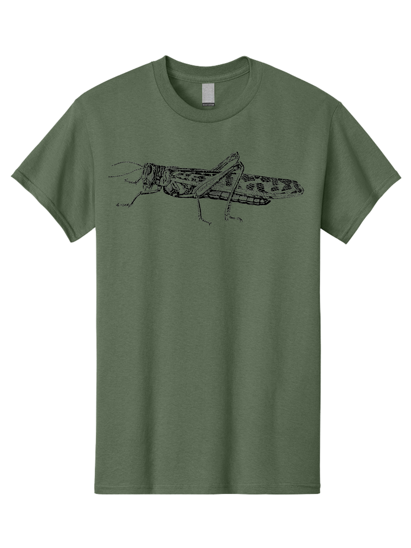 Grasshopper Men'S Graphic Tee, 100% Cotton, Comfortable Casual Summer Wear, Machine Washable, Detailed Illustration, Grasshopper, Insect, Entomology, Wildlife, Sketch Art, Black Lines, Detailed Drawing, Fauna, Zoology Aab537 15