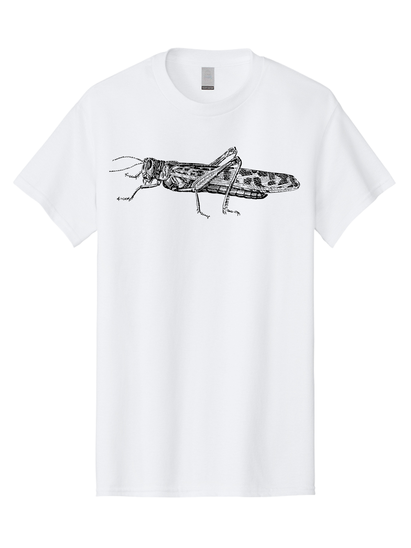Grasshopper Men'S Graphic Tee, 100% Cotton, Comfortable Casual Summer Wear, Machine Washable, Detailed Illustration, Grasshopper, Insect, Entomology, Wildlife, Sketch Art, Black Lines, Detailed Drawing, Fauna, Zoology Aab537 29