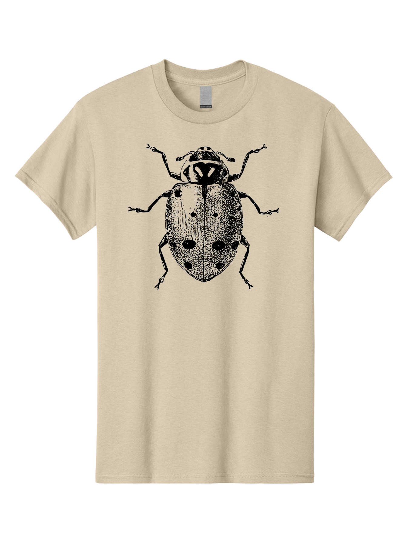 Ladybug Men'S Graphic Tee, 100% Cotton, Comfortable Casual Summer Wear, Machine Washable, Ladybug Illustration, Black Spots, Insect Drawing, Detailed Artwork, Entomology Art, Beetle Graphics, Natural History Illustration, Bug Design Aab542 27