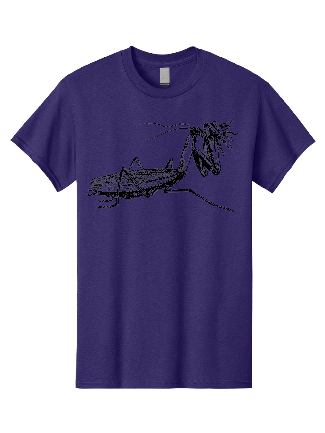 Mantis-Eating-Fly Men'S Graphic Tee, 100% Cotton, Comfortable Casual Summer Wear, Machine Washable, Praying Mantis Eating A Fly, Insect Predator, Detailed Illustration, Black And Green, Entomology Art, Wildlife Photography, Insect Behavior Aab544 21
