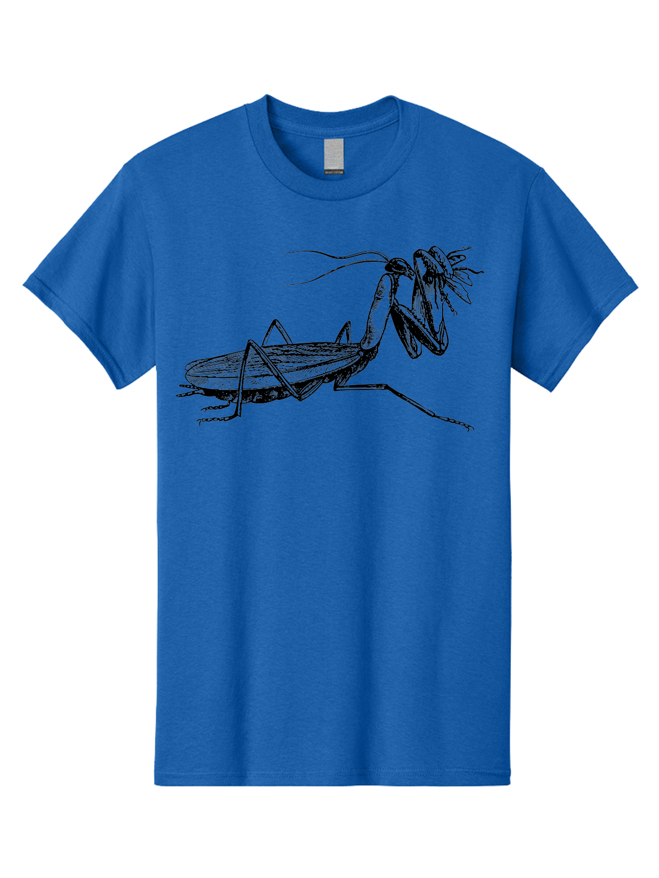 Mantis-Eating-Fly Men'S Graphic Tee, 100% Cotton, Comfortable Casual Summer Wear, Machine Washable, Praying Mantis Eating A Fly, Insect Predator, Detailed Illustration, Black And Green, Entomology Art, Wildlife Photography, Insect Behavior Aab544 25