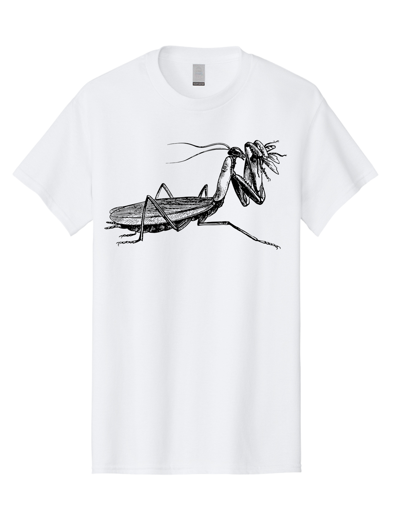 Mantis-Eating-Fly Men'S Graphic Tee, 100% Cotton, Comfortable Casual Summer Wear, Machine Washable, Praying Mantis Eating A Fly, Insect Predator, Detailed Illustration, Black And Green, Entomology Art, Wildlife Photography, Insect Behavior Aab544 29