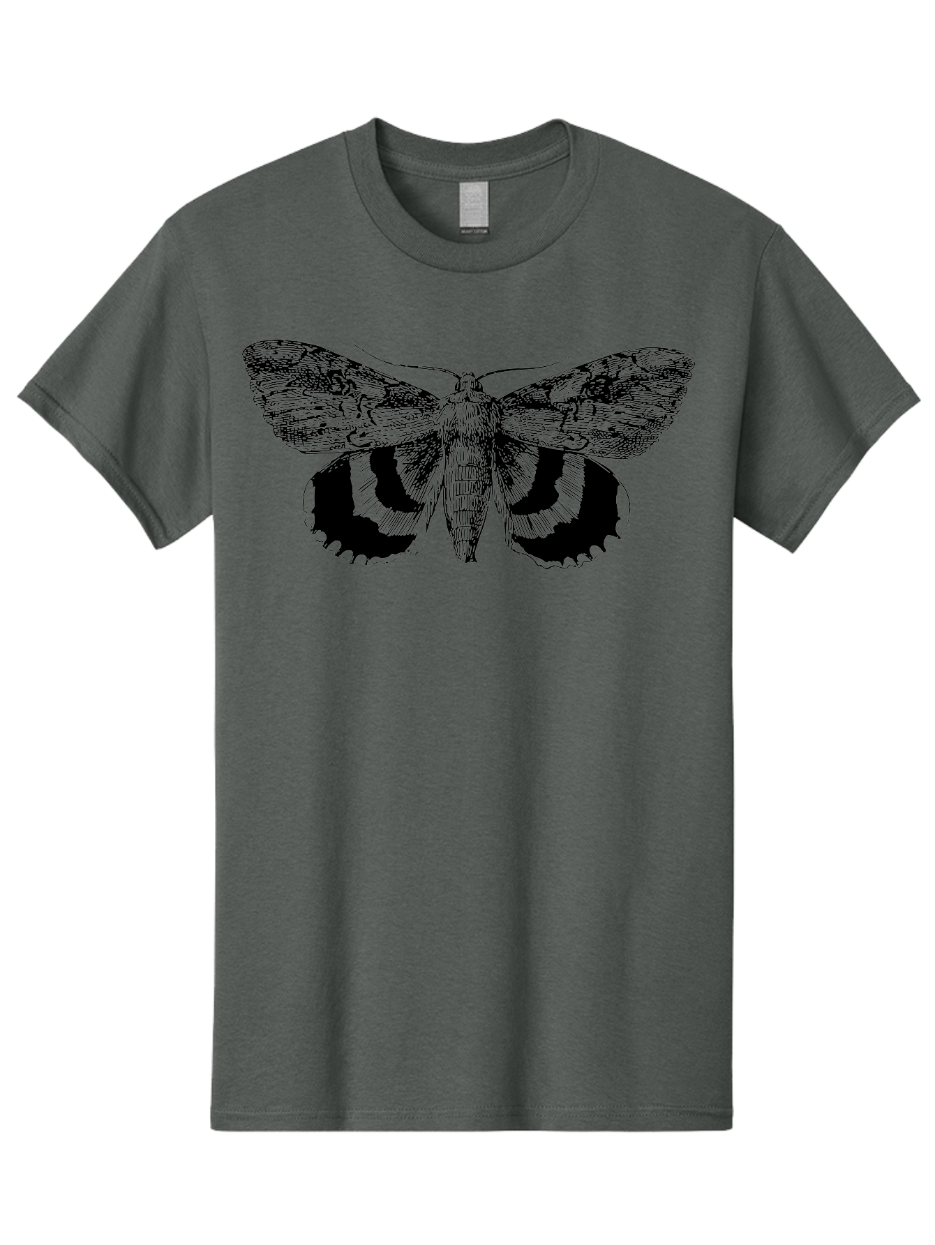 black and green moth illustration, insect art, detailed drawing, wingspan, entomology, biological illustration, vintage style, butterfly wings, insect wings 3