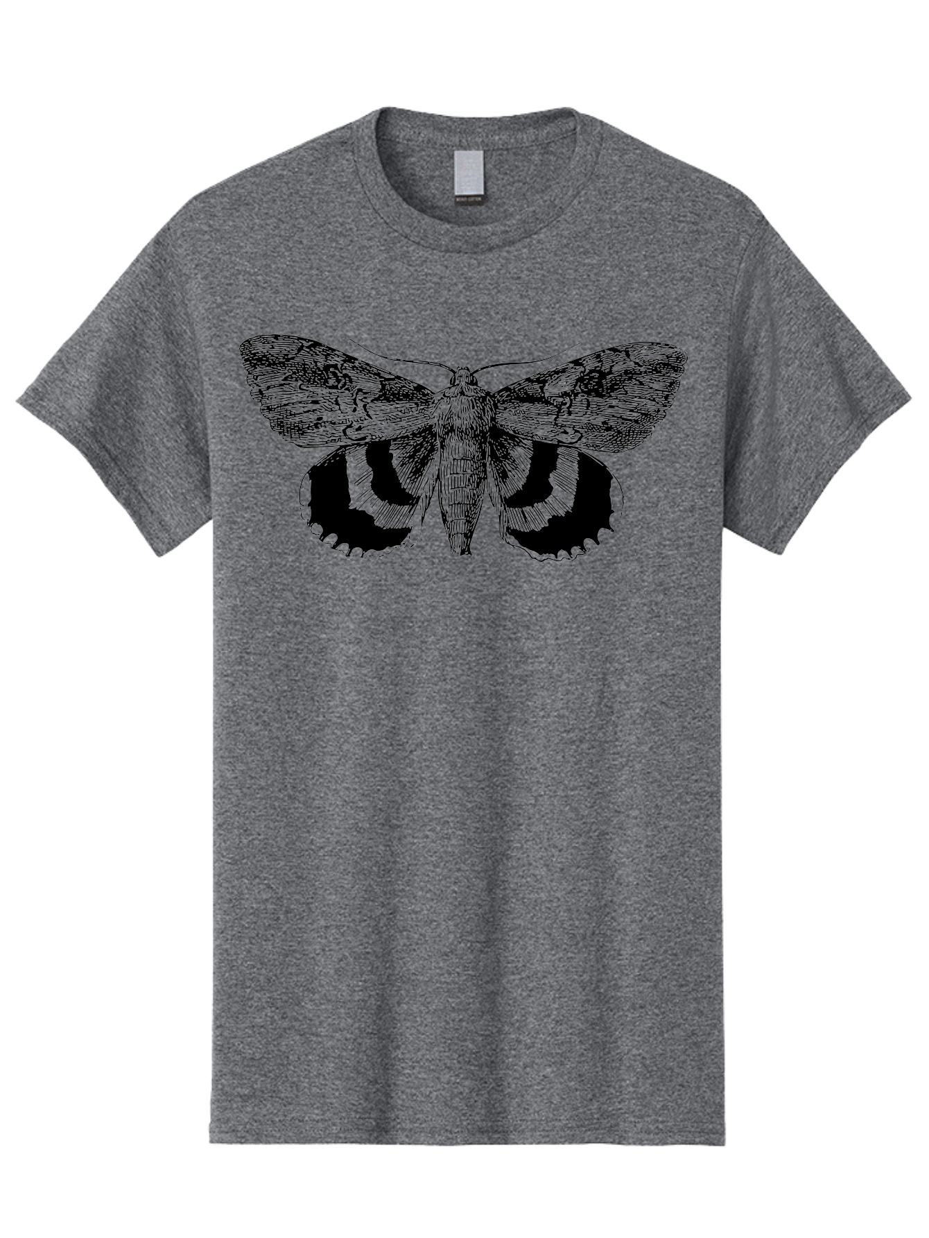 black and green moth illustration, insect art, detailed drawing, wingspan, entomology, biological illustration, vintage style, butterfly wings, insect wings 9