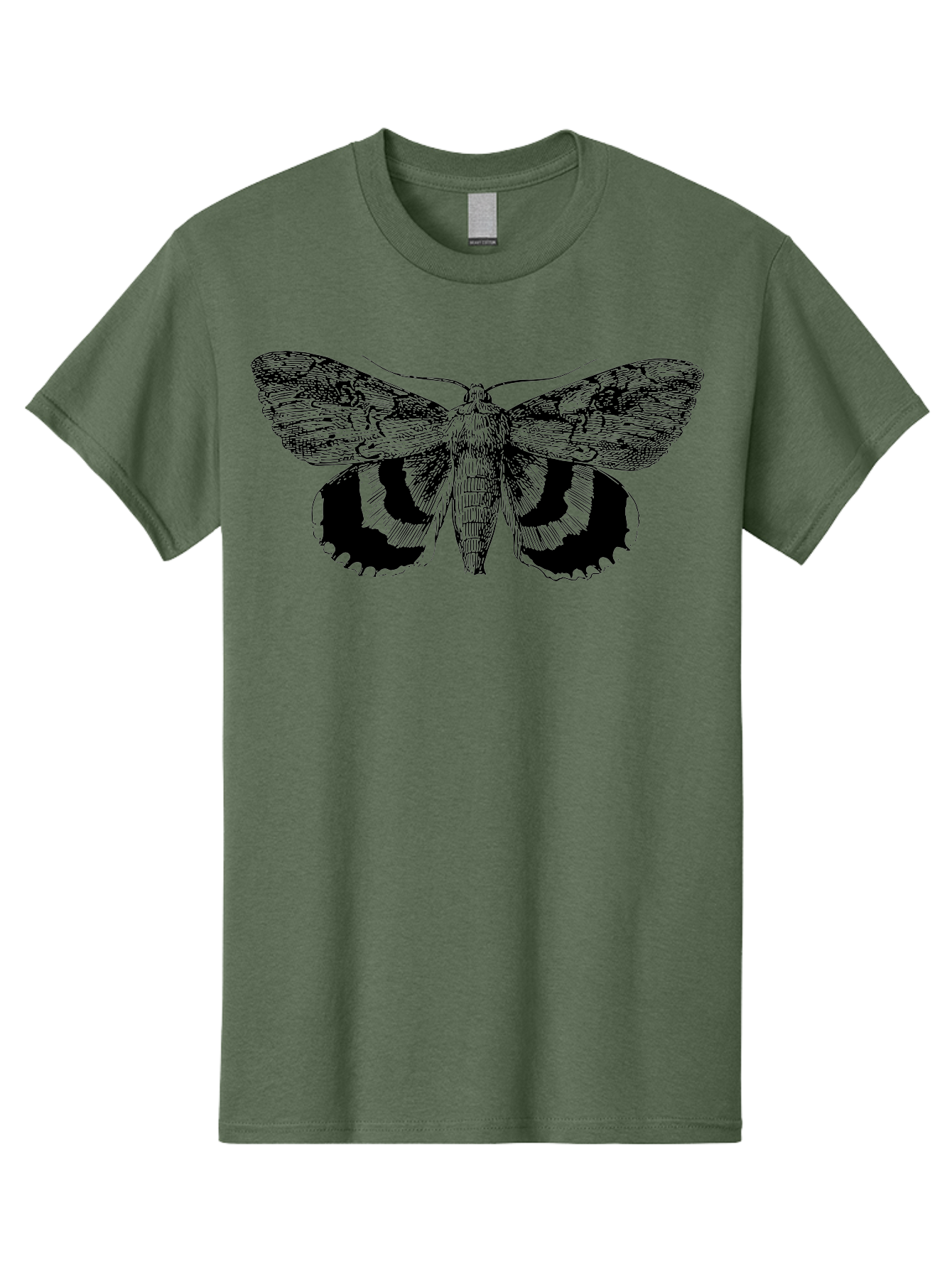 black and green moth illustration, insect art, detailed drawing, wingspan, entomology, biological illustration, vintage style, butterfly wings, insect wings 15