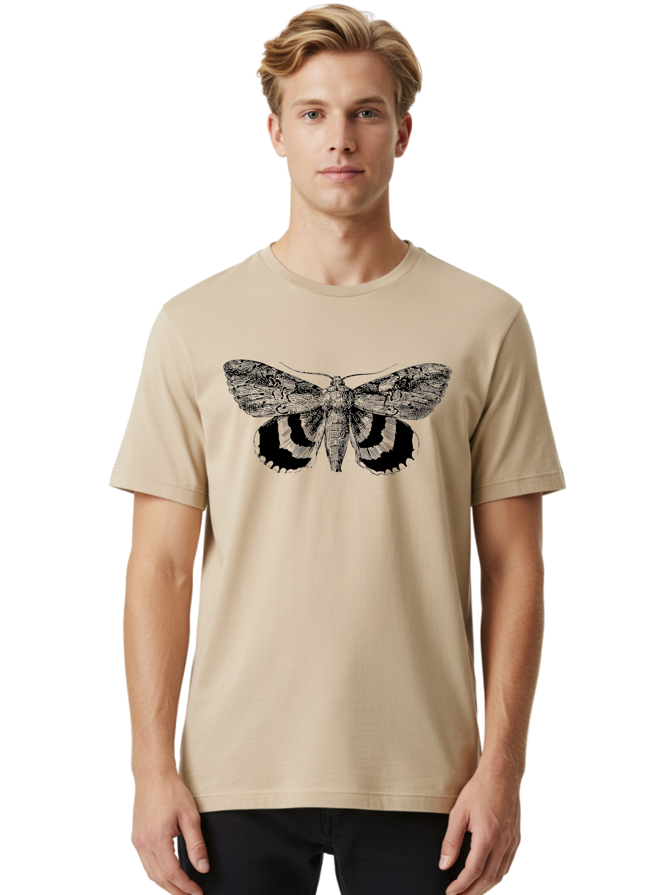 black and green moth illustration, insect art, detailed drawing, wingspan, entomology, biological illustration, vintage style, butterfly wings, insect wings 28