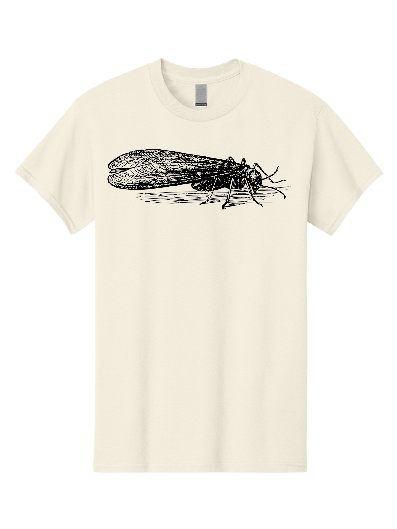 Moth Men'S Graphic Tee, 100% Cotton, Comfortable Casual Summer Wear, Machine Washable, Mayfly Insect, Vintage Illustration, Black And White Artwork, Detailed Drawing, Insect Anatomy, Entomology, Wildlife Art, Natural History, Insect Wings, Aab549 17