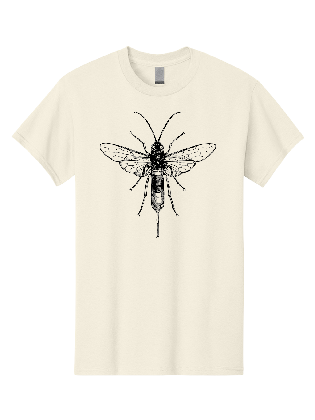 Wasp Men'S Graphic Tee, 100% Cotton, Comfortable Casual Summer Wear, Machine Washable, Black And Green Wasp, Insect Anatomy, Entomology Illustration, Detailed Drawing, Scientific Art, Insect Wings, Wasp Body, Bug Illustration Aab560 27