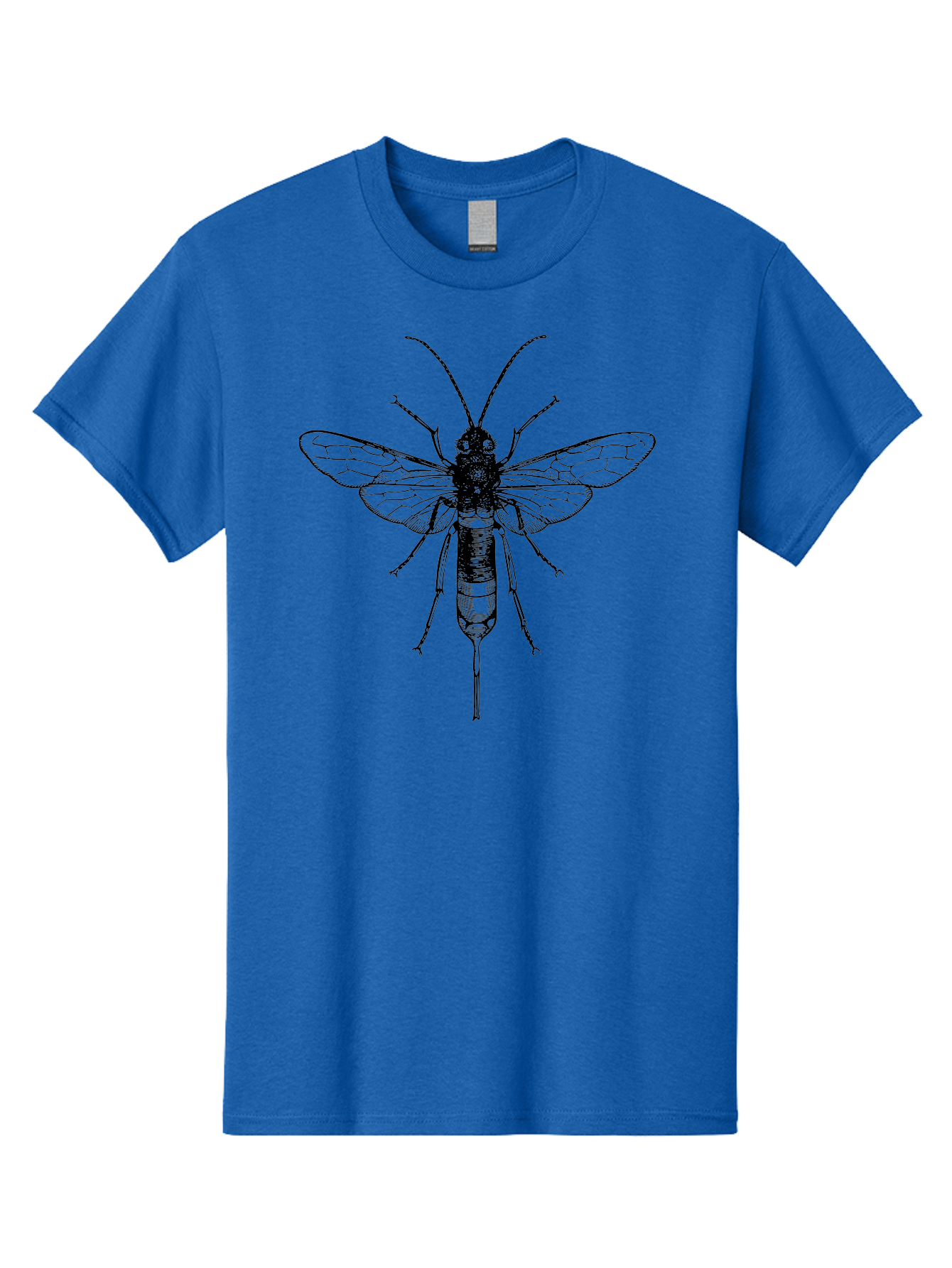 Wasp Men'S Graphic Tee, 100% Cotton, Comfortable Casual Summer Wear, Machine Washable, Black And Green Wasp, Insect Anatomy, Entomology Illustration, Detailed Drawing, Scientific Art, Insect Wings, Wasp Body, Bug Illustration Aab560 17