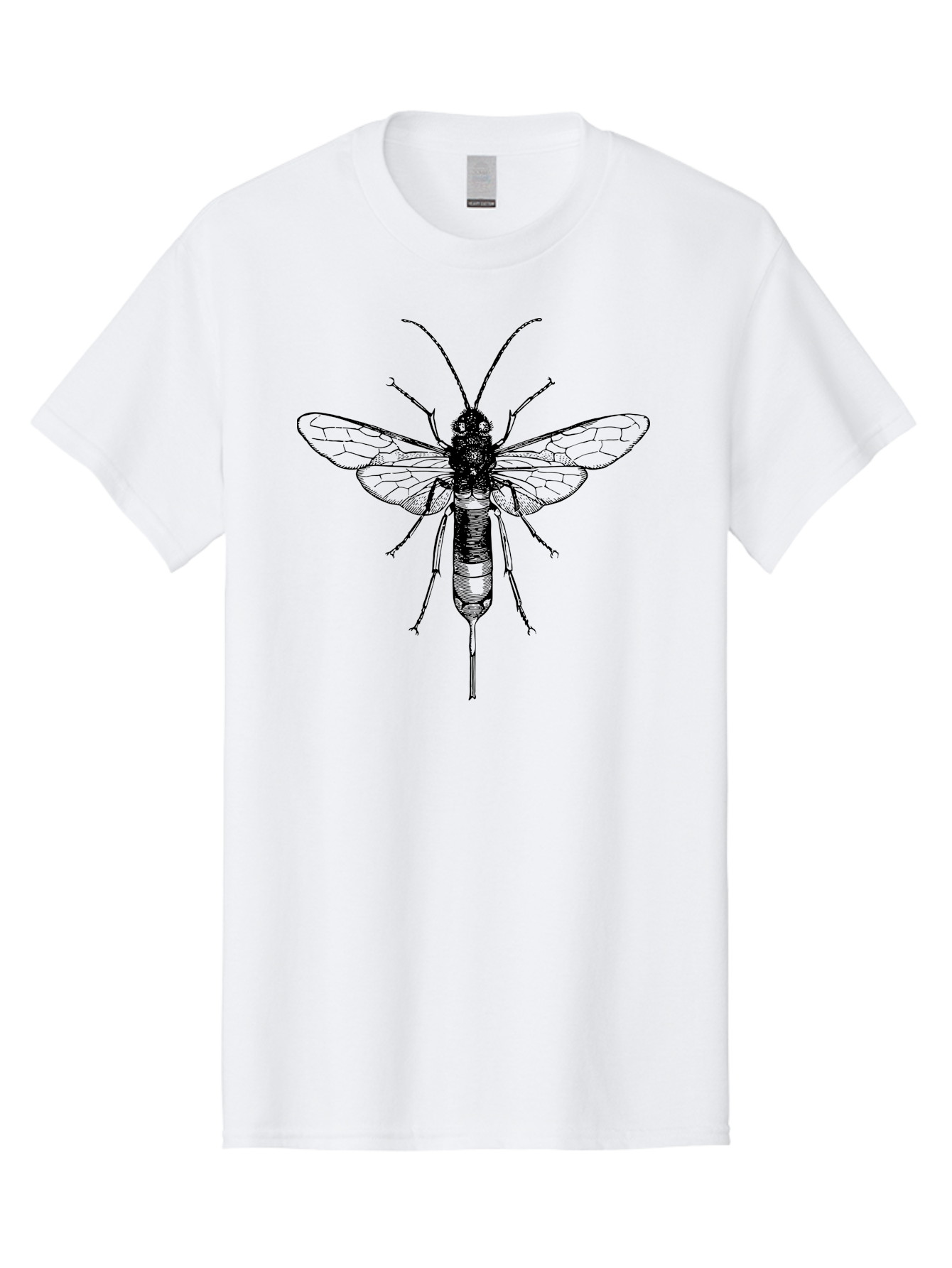 Wasp Men'S Graphic Tee, 100% Cotton, Comfortable Casual Summer Wear, Machine Washable, Black And Green Wasp, Insect Anatomy, Entomology Illustration, Detailed Drawing, Scientific Art, Insect Wings, Wasp Body, Bug Illustration Aab560 9