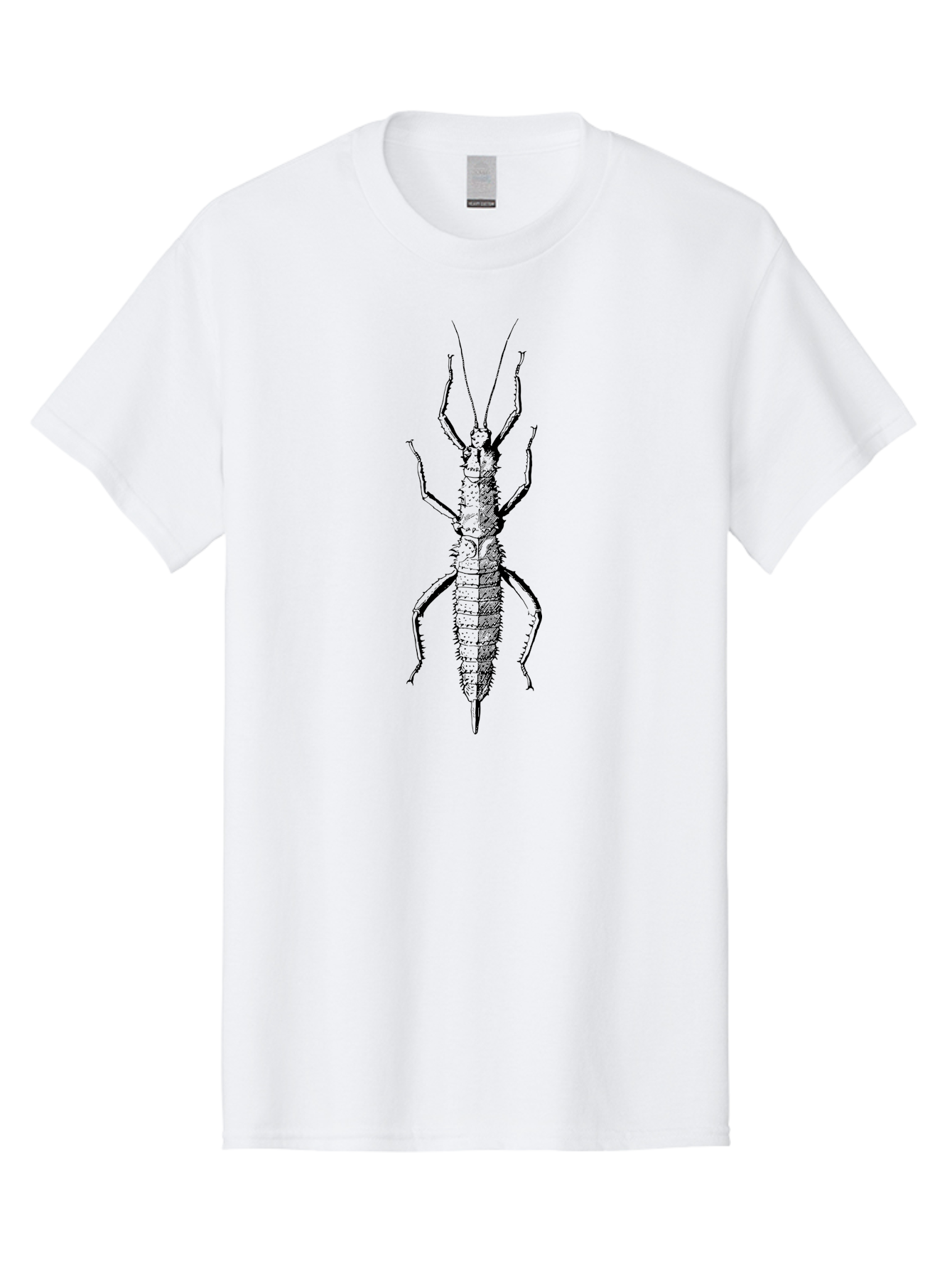 Weta Men'S Graphic Tee, 100% Cotton, Comfortable Casual Summer Wear, Machine Washable, Weta Insect, Native New Zealand Bug, Black Illustration, Entomology Art, Insect Anatomy, Detailed Drawing, Wildlife Illustration Aab561 19