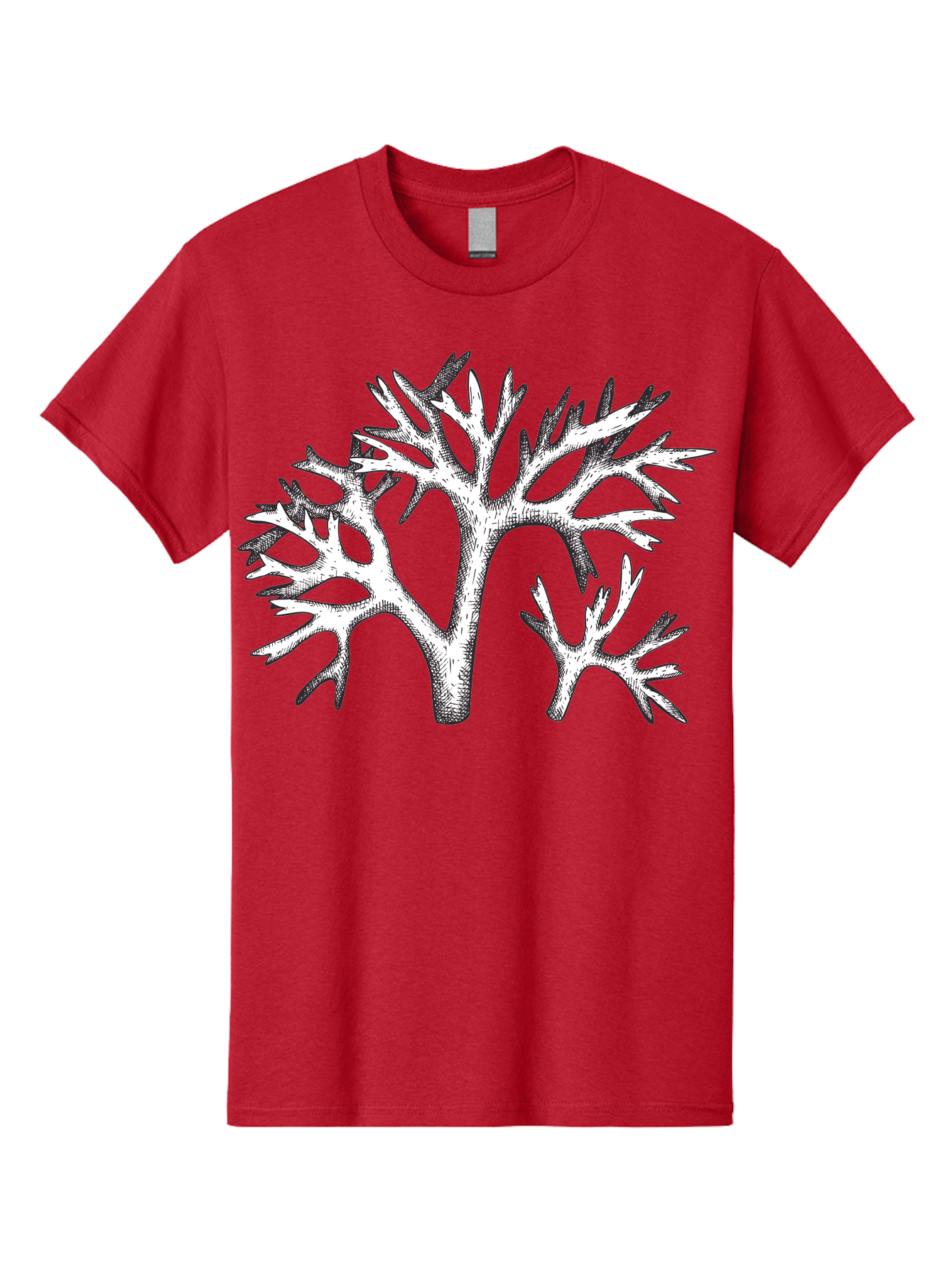 Coral-3 Men'S Graphic Tee, 100% Cotton, Comfortable Casual Summer Wear, Machine Washable, Coral Reefs, Marine Life, Ocean Creatures, Underwater World, Coral Branches, Black And White Illustration, Detailed Drawing, Abstract Shapes Aad690 5