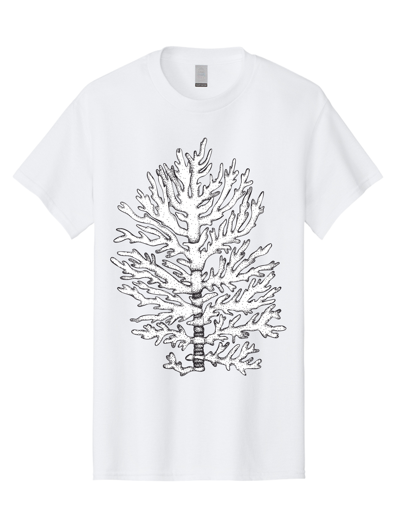 Coral Men'S Graphic Tee, 100% Cotton, Comfortable Casual Summer Wear, Machine Washable, White Coral, Branching Coral, Detailed Illustration, Marine Life, Ocean Creatures, Intricate Design, Coral Reef, Underwater World, Sea Life, Aad691 11