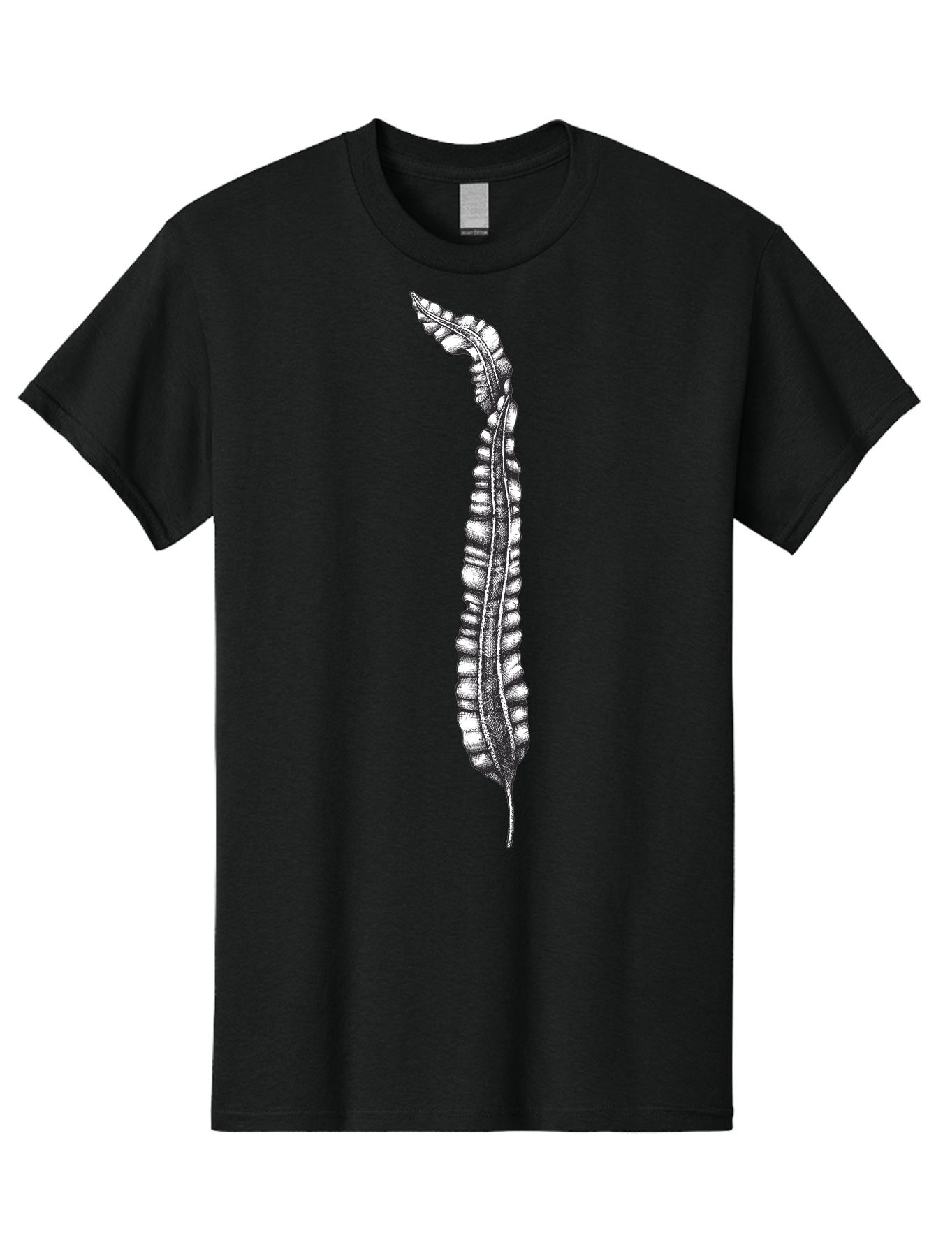 Paleodictyon Men'S Graphic Tee, 100% Cotton, Comfortable Casual Summer Wear, Machine Washable, Black And White Centipede, Detailed Illustration, Many Legs, Invertebrate Animal, Creepy Crawlers, Entomology Art, Detailed Drawing Aad727 15
